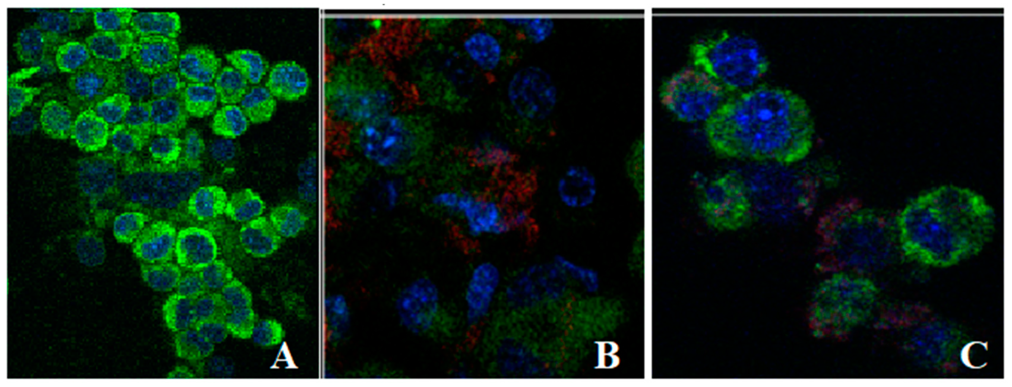 Nanomaterials 11 01938 g004