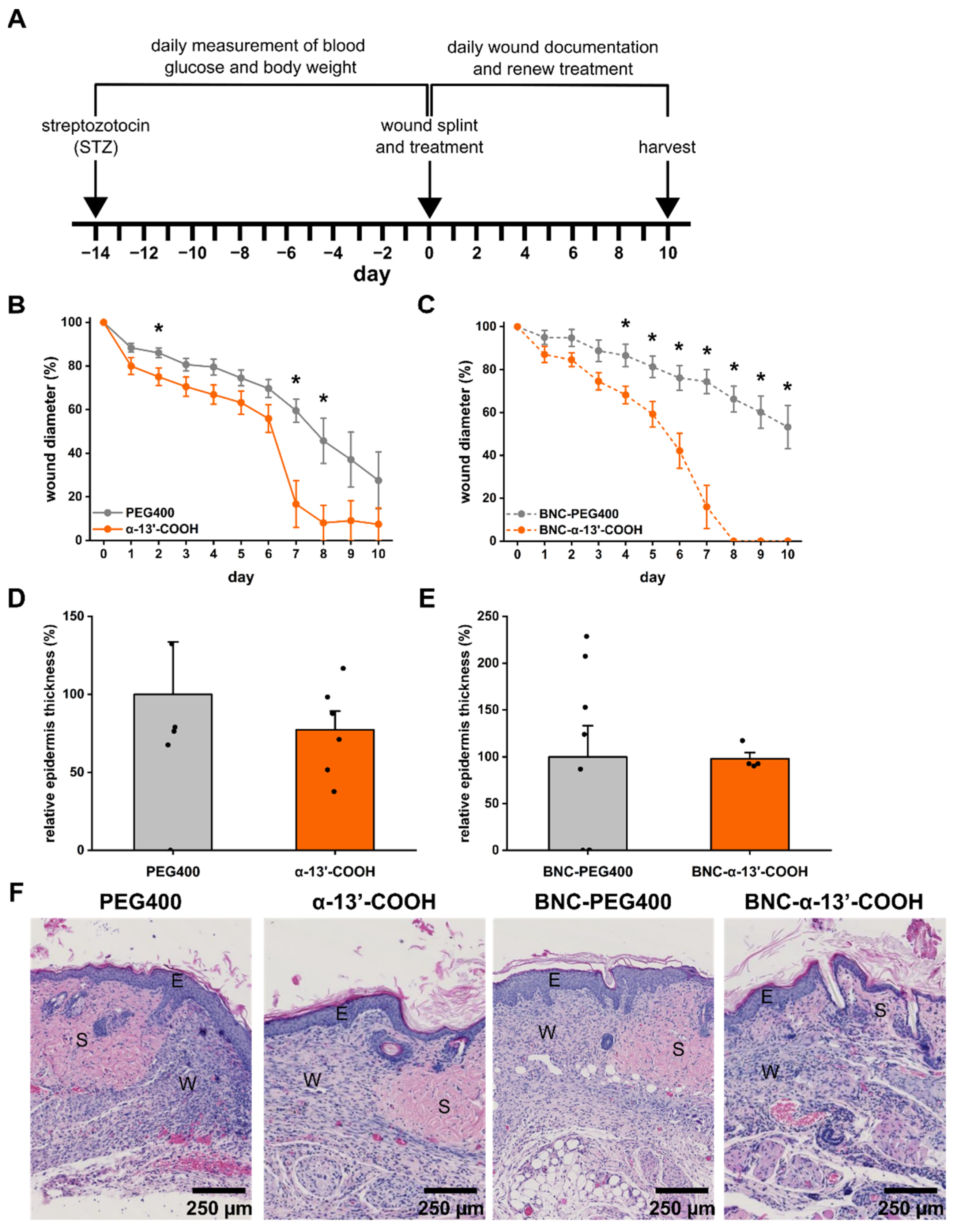 Nanomaterials 11 01939 g005