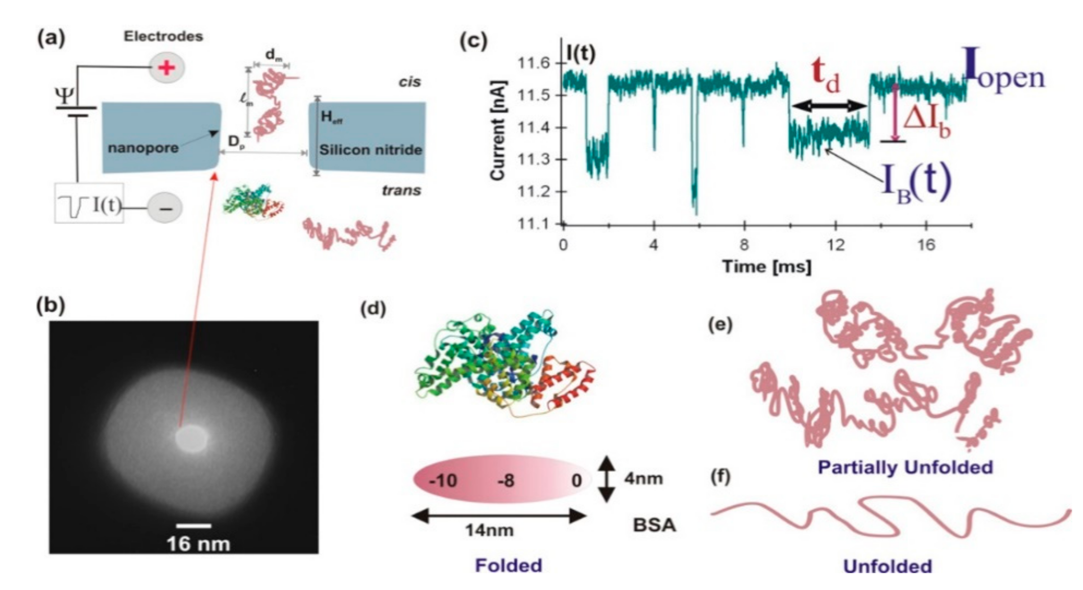 Nanomaterials 11 01942 g002 Nanomaterials 11 01942 g002