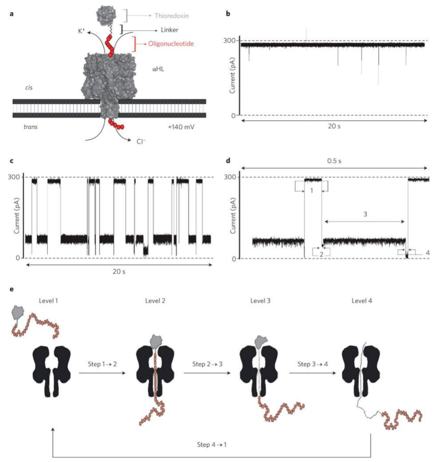 Nanomaterials 11 01942 g003 Nanomaterials 11 01942 g003