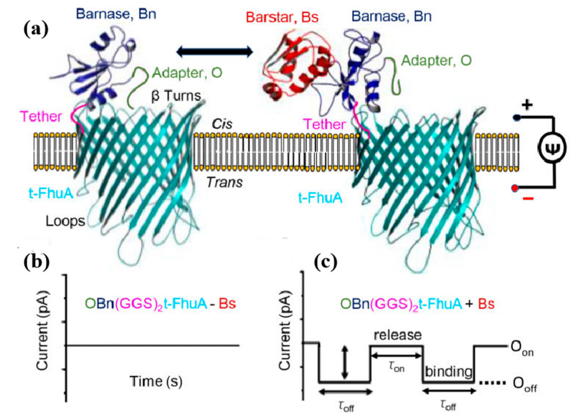 Nanomaterials 11 01942 g006 Nanomaterials 11 01942 g006
