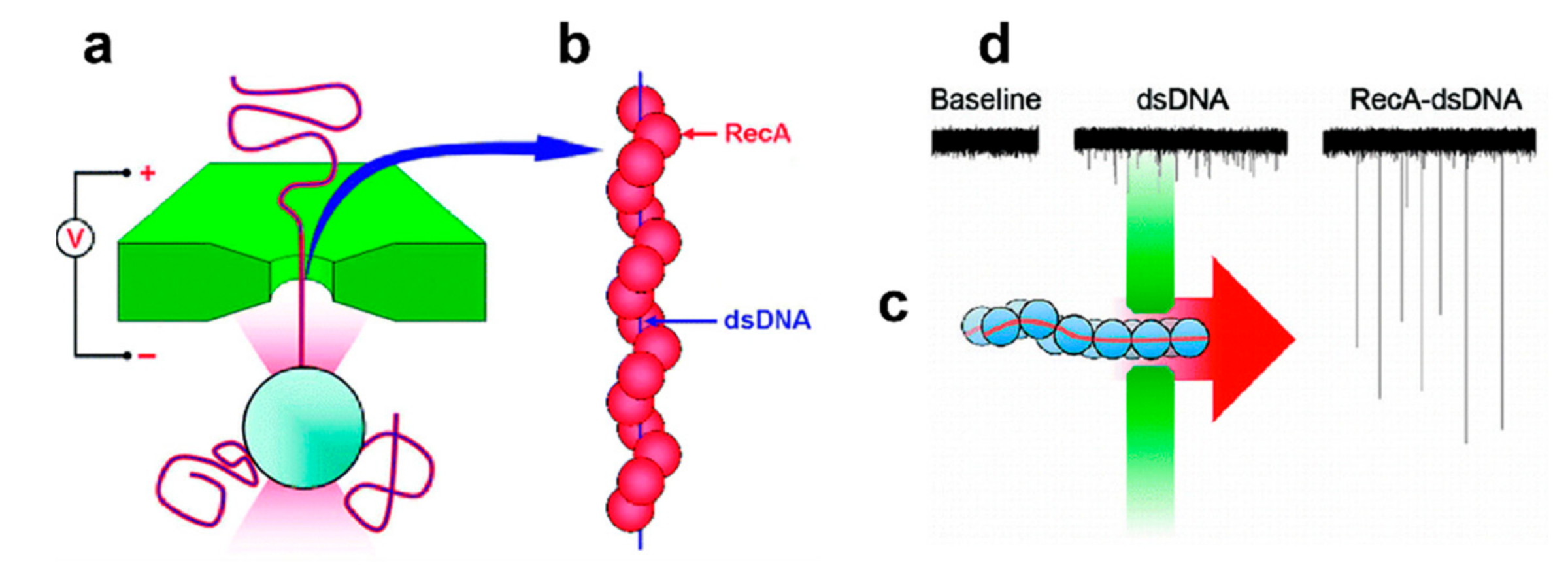 Nanomaterials 11 01942 g007 Nanomaterials 11 01942 g007