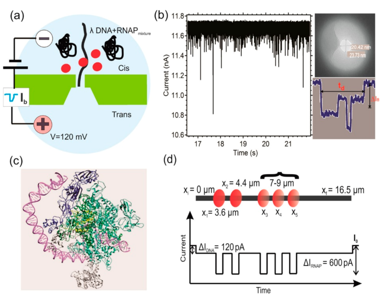 Nanomaterials 11 01942 g008 Nanomaterials 11 01942 g008