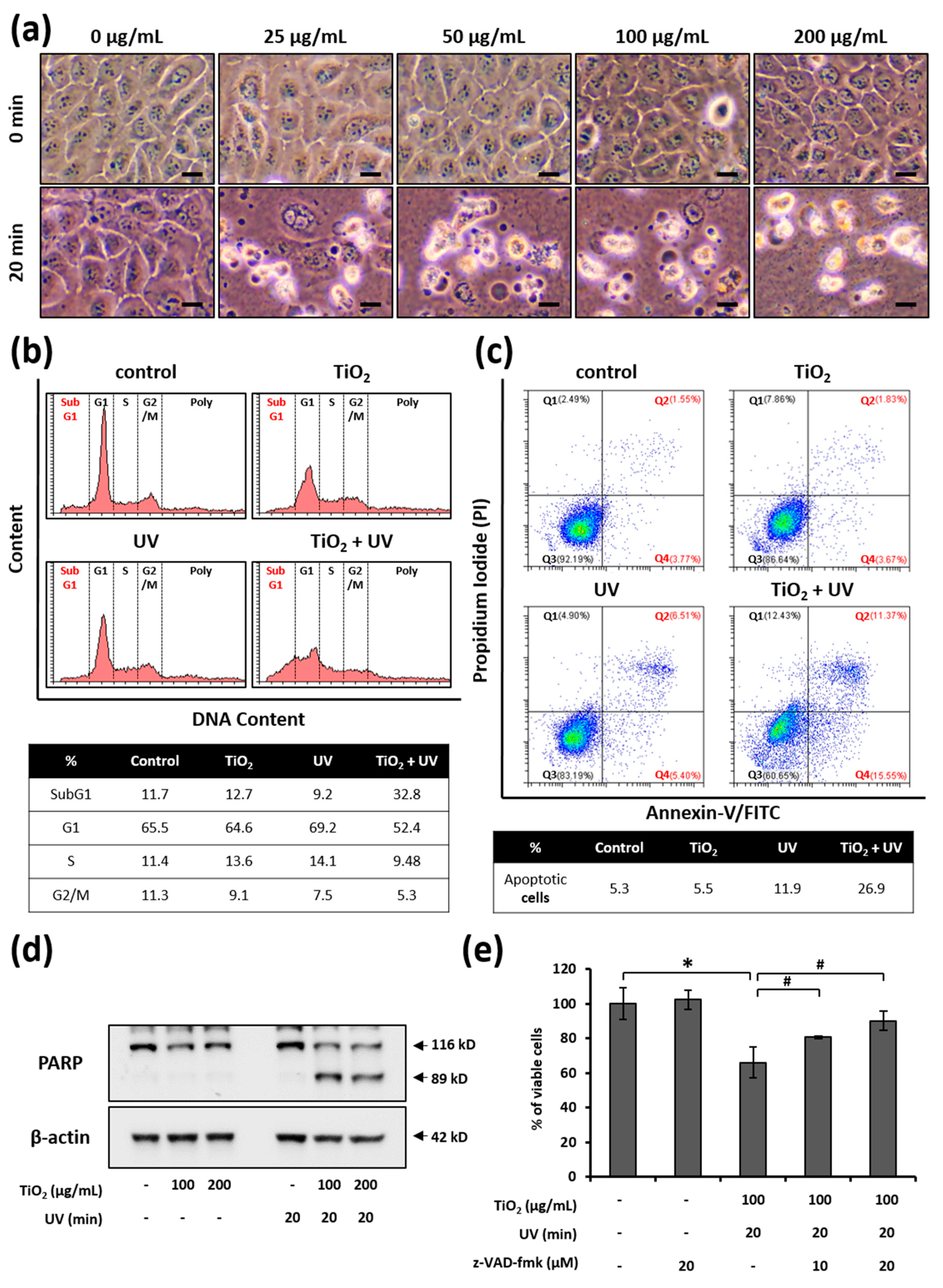 Nanomaterials 11 01943 g004
