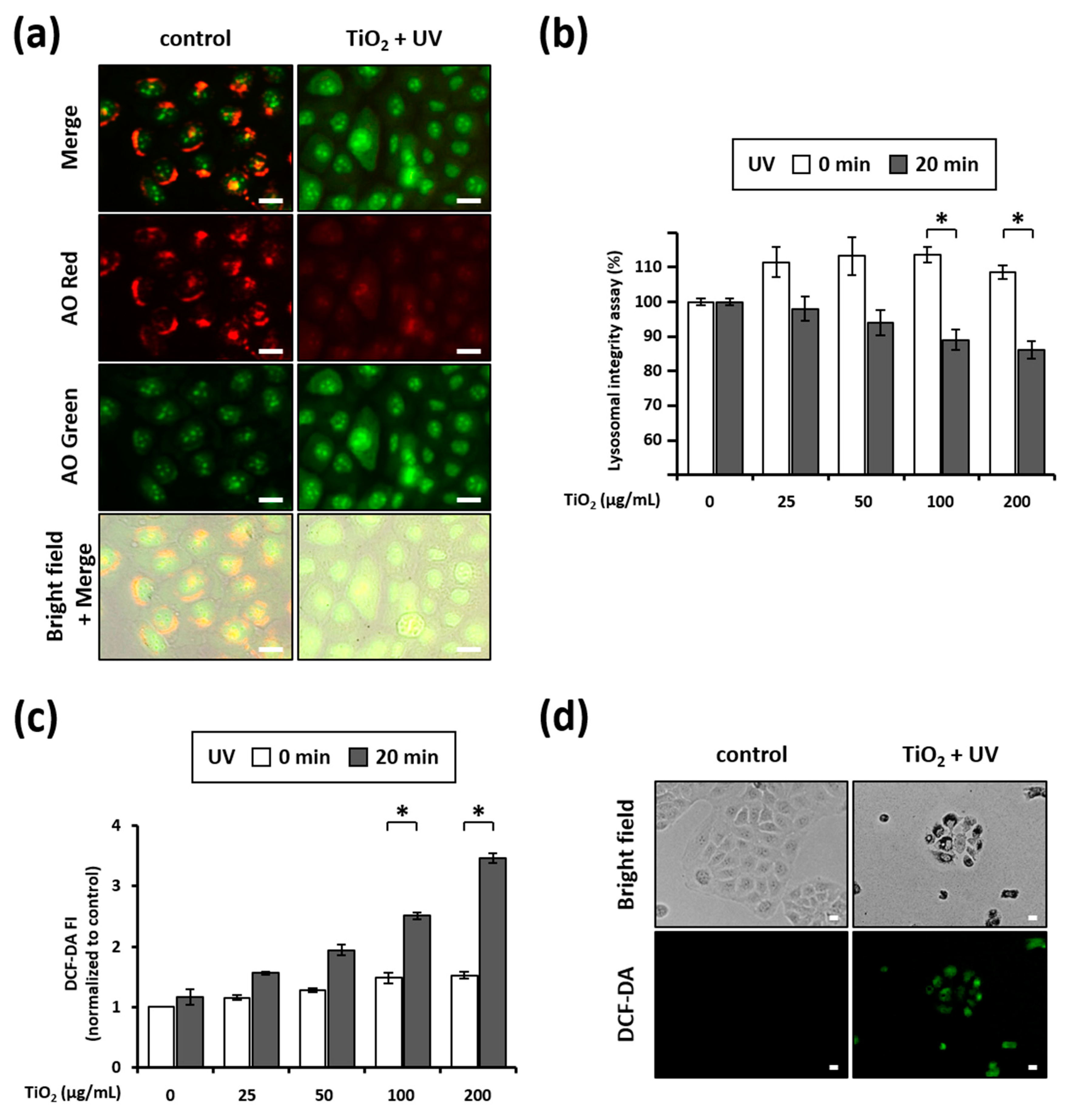 Nanomaterials 11 01943 g006