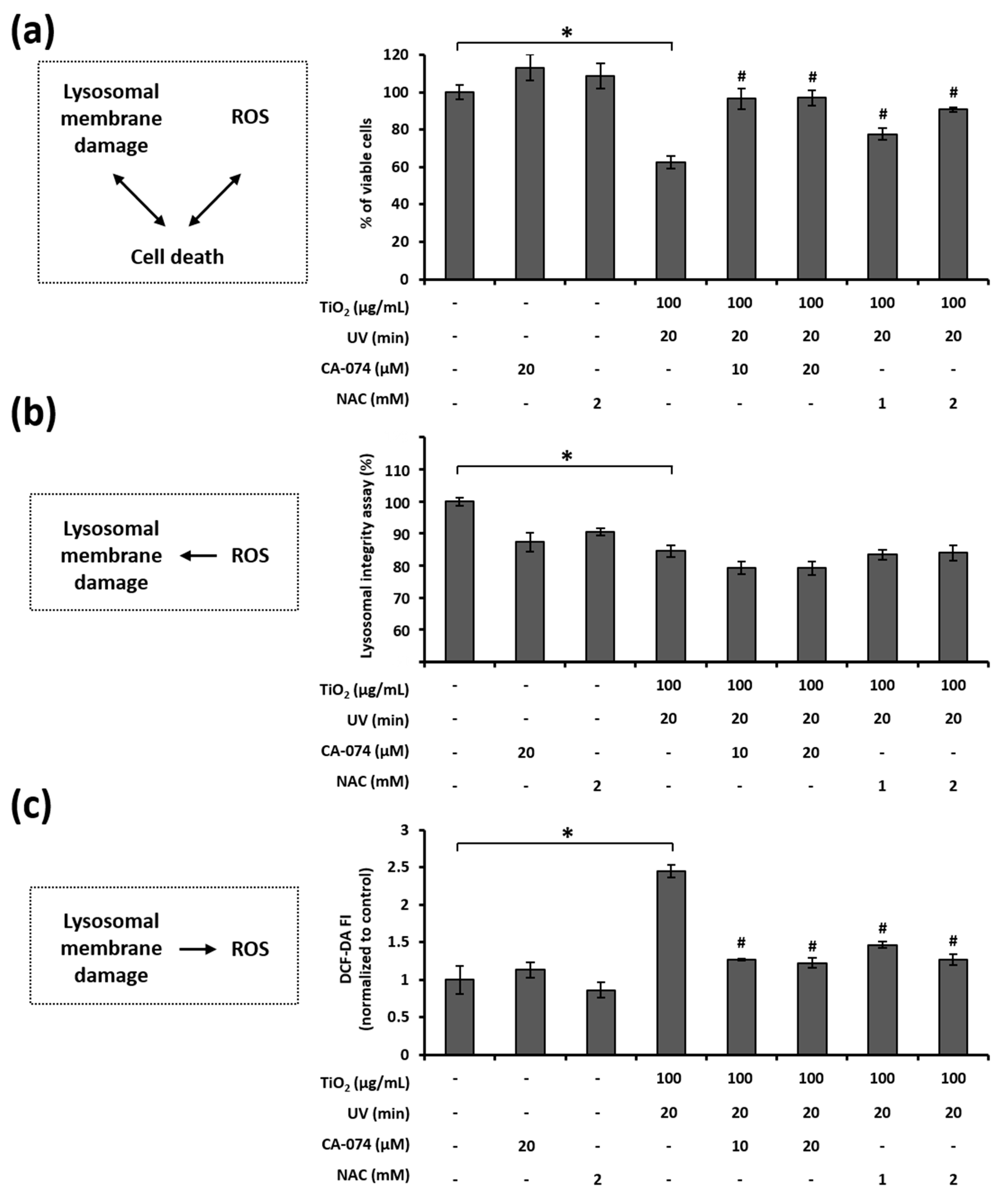 Nanomaterials 11 01943 g007