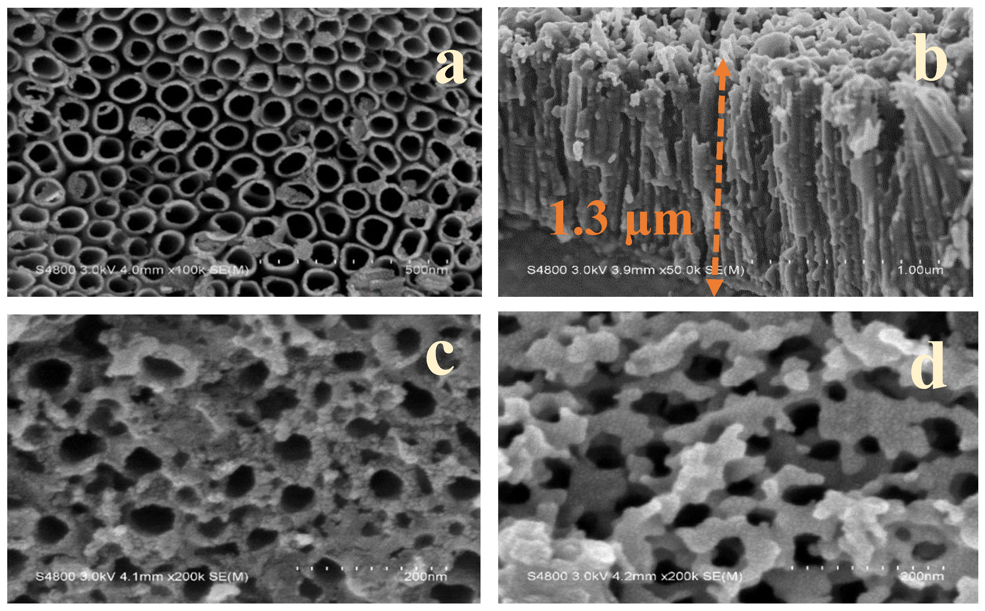 Nanomaterials 11 01944 g001