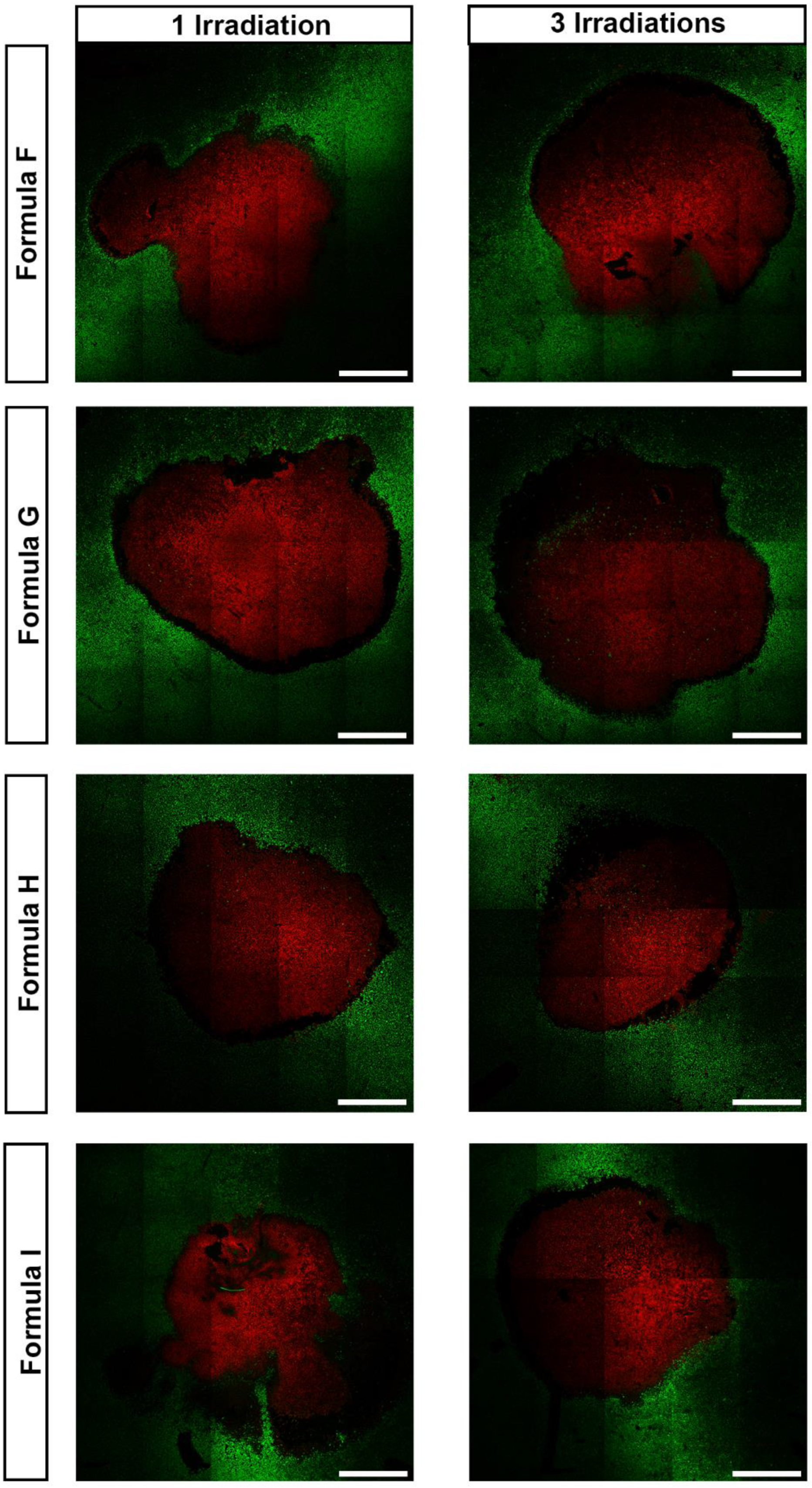 Nanomaterials 11 01946 g006