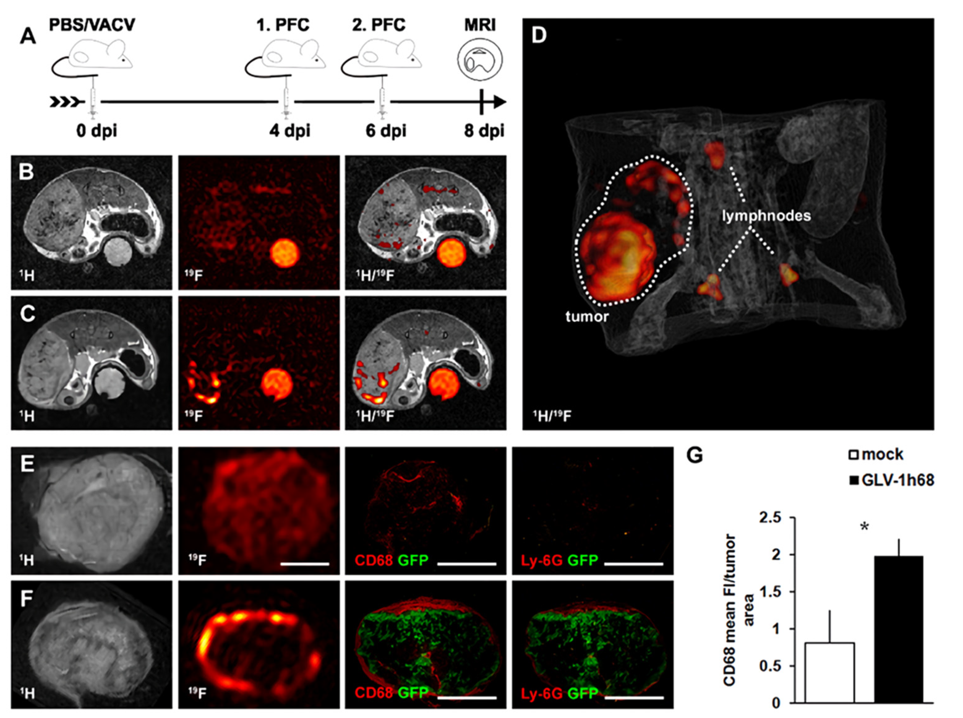 Nanomaterials 11 01950 g005