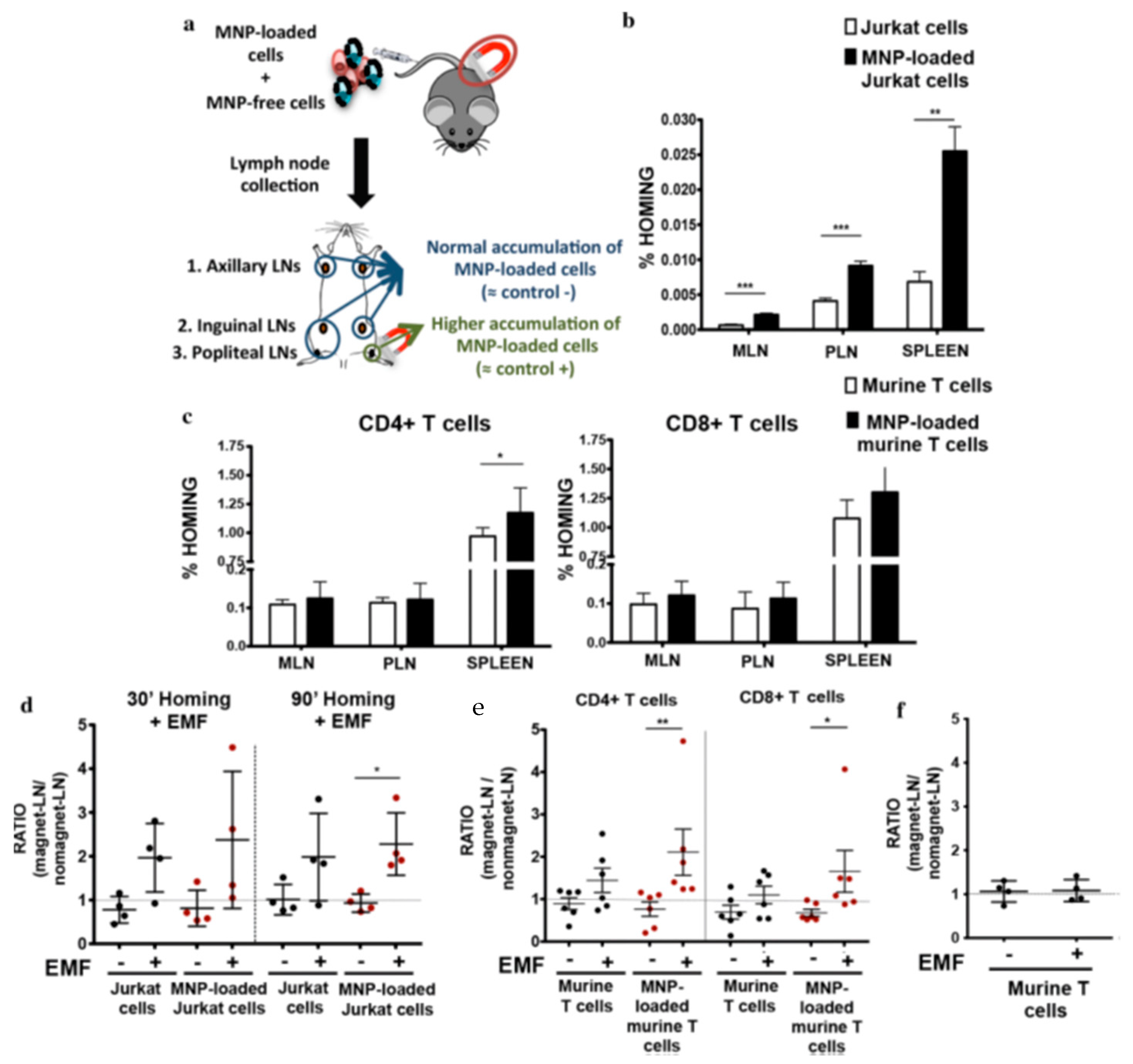 Nanomaterials 11 01950 g006