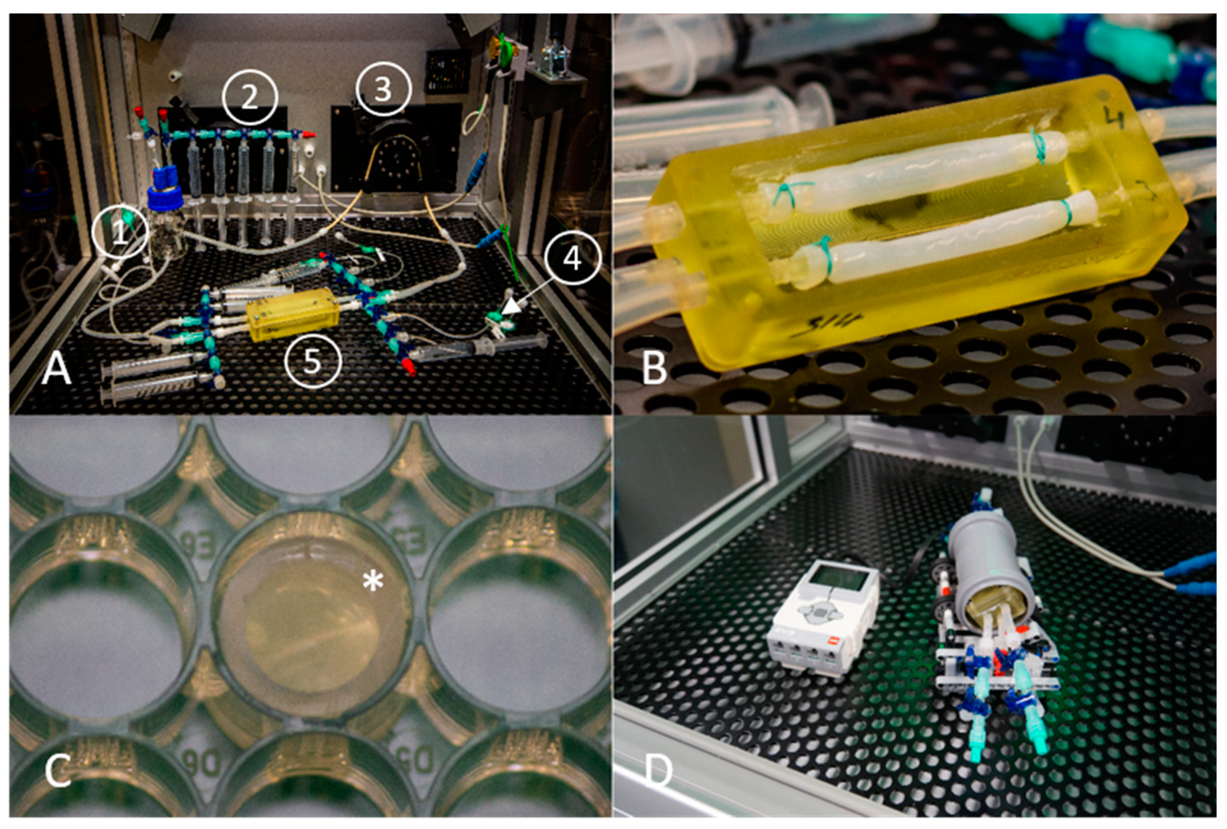 Nanomaterials 11 01952 g001 Nanomaterials 11 01952 g001