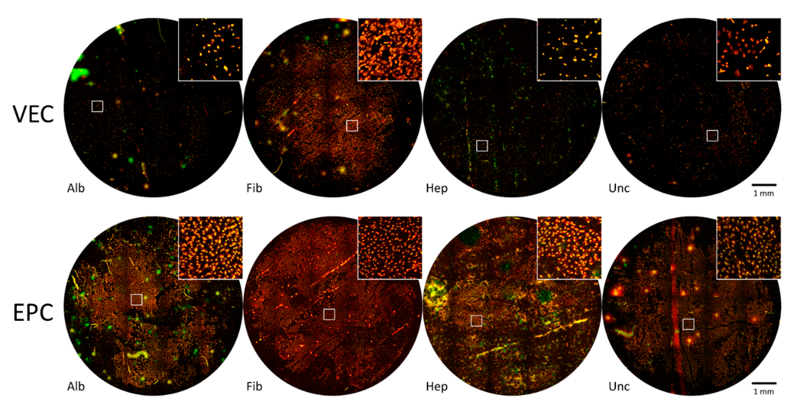 Nanomaterials 11 01952 g004 Nanomaterials 11 01952 g004