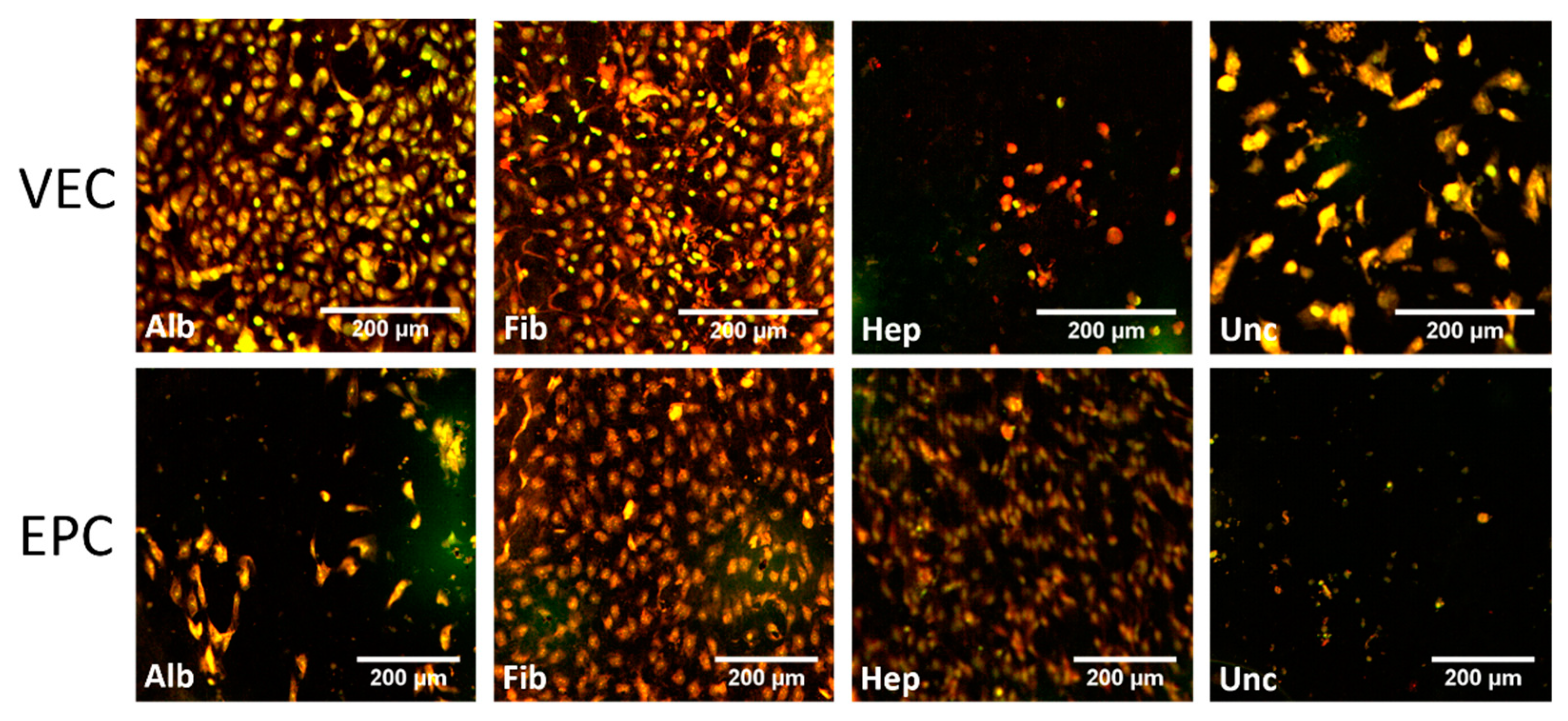 Nanomaterials 11 01952 g005 Nanomaterials 11 01952 g005
