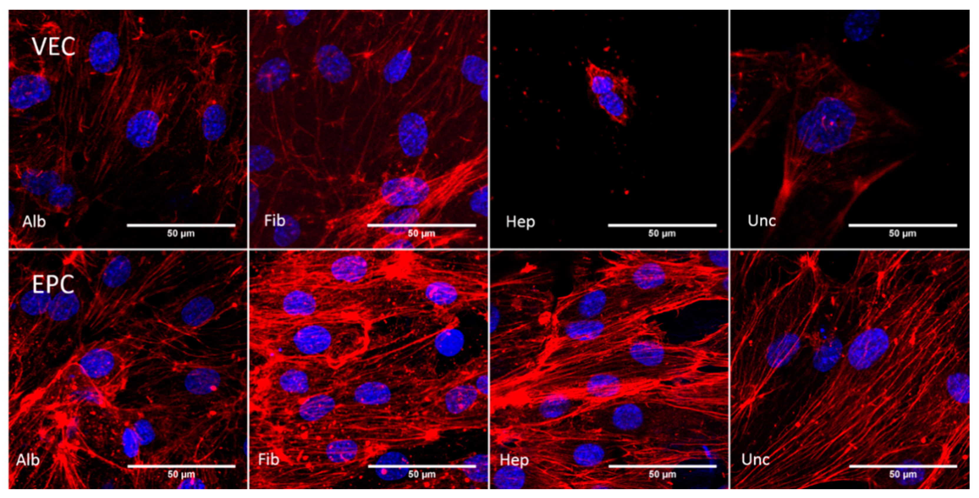 Nanomaterials 11 01952 g006 Nanomaterials 11 01952 g006