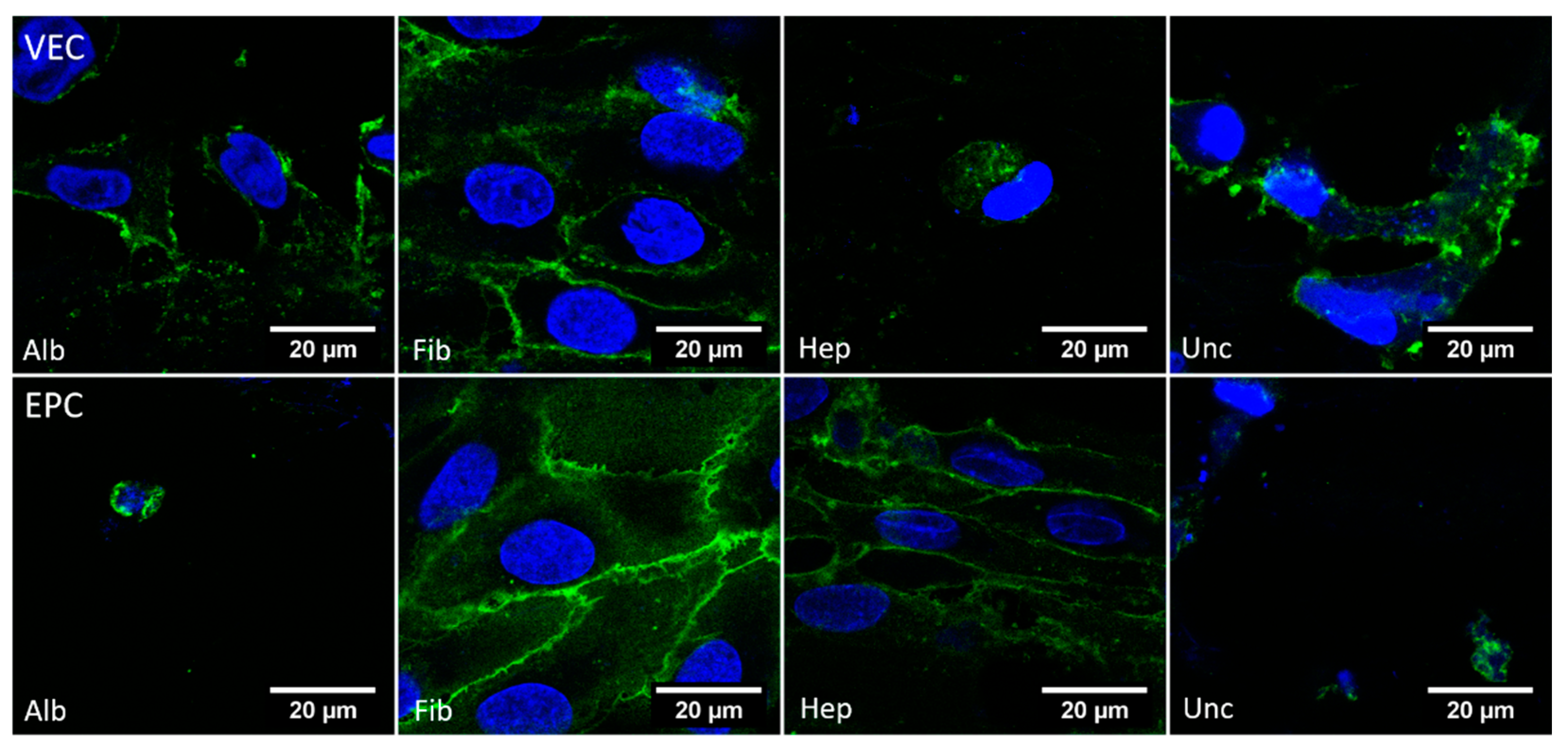 Nanomaterials 11 01952 g008 Nanomaterials 11 01952 g008