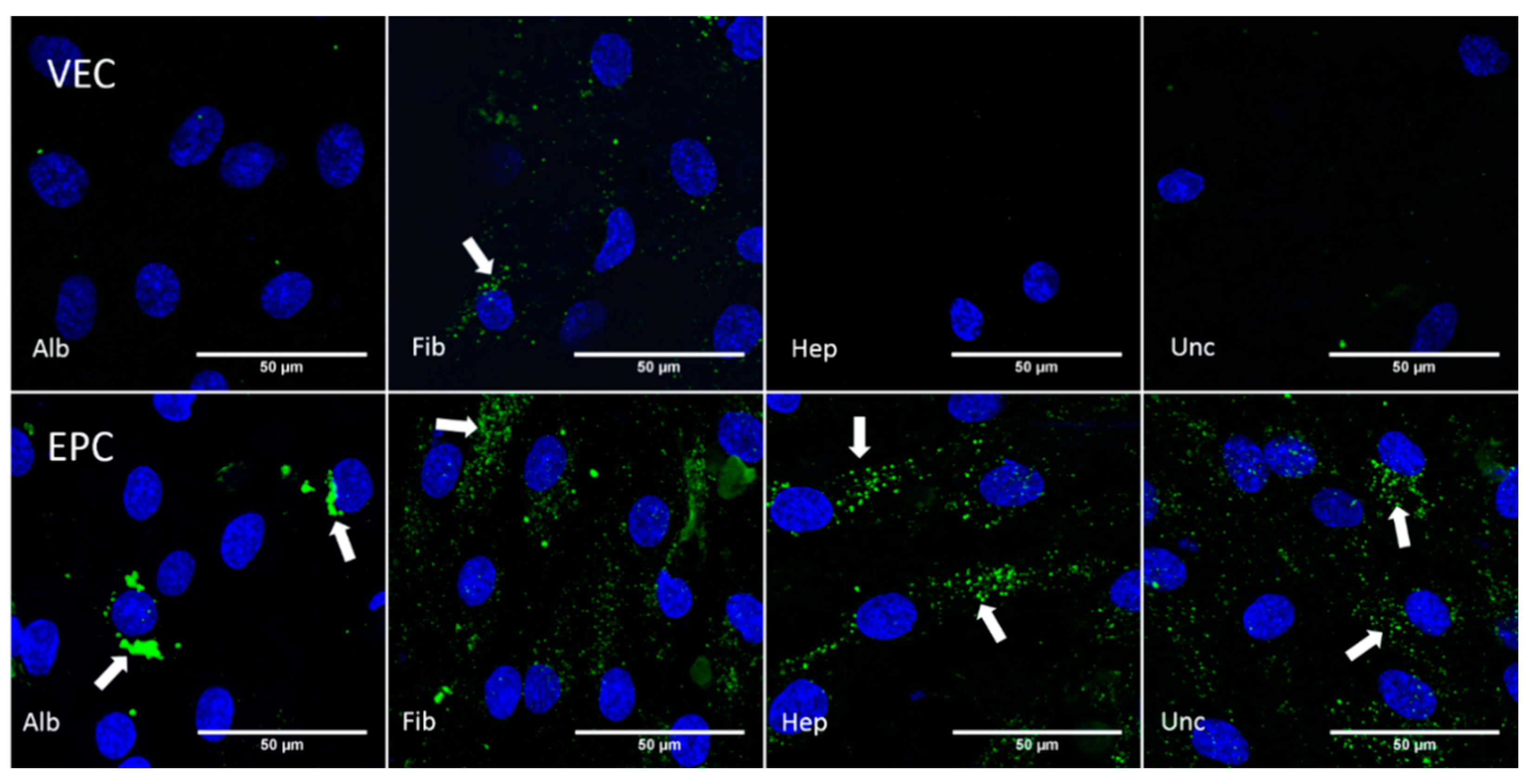 Nanomaterials 11 01952 g009 Nanomaterials 11 01952 g009