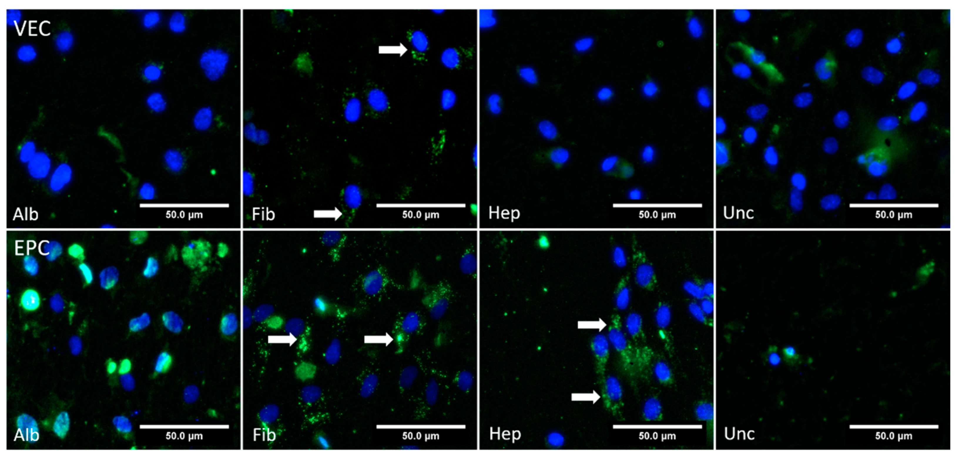 Nanomaterials 11 01952 g010 Nanomaterials 11 01952 g010