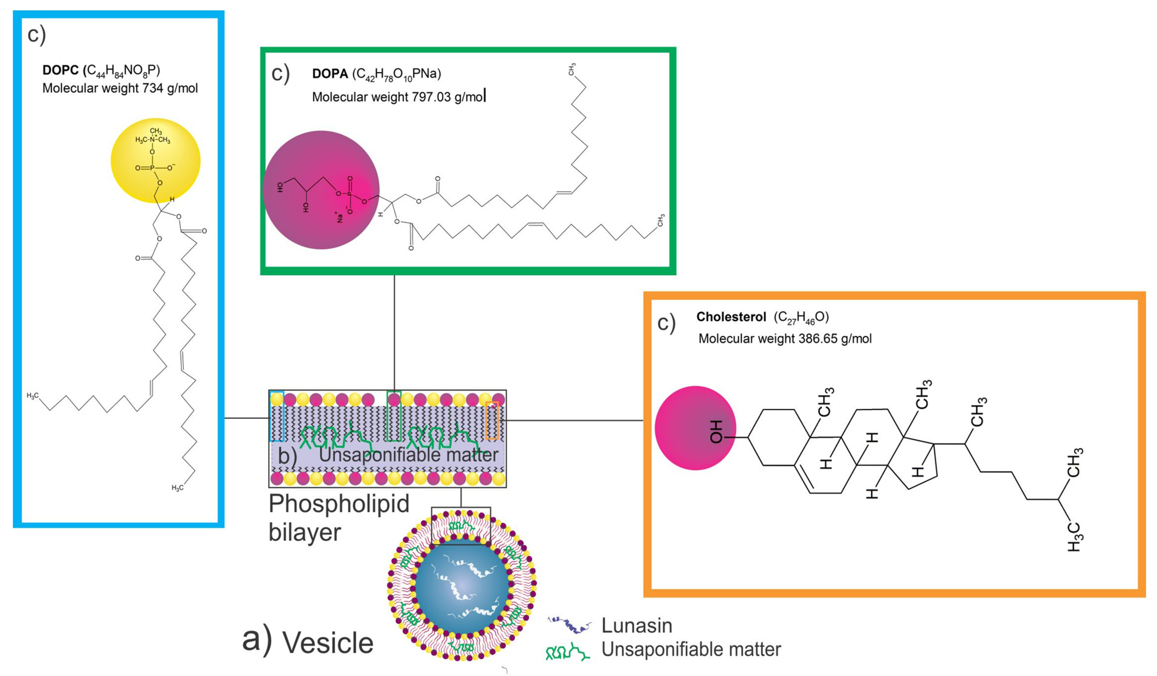 Nanomaterials 11 01960 g004 Nanomaterials 11 01960 g004