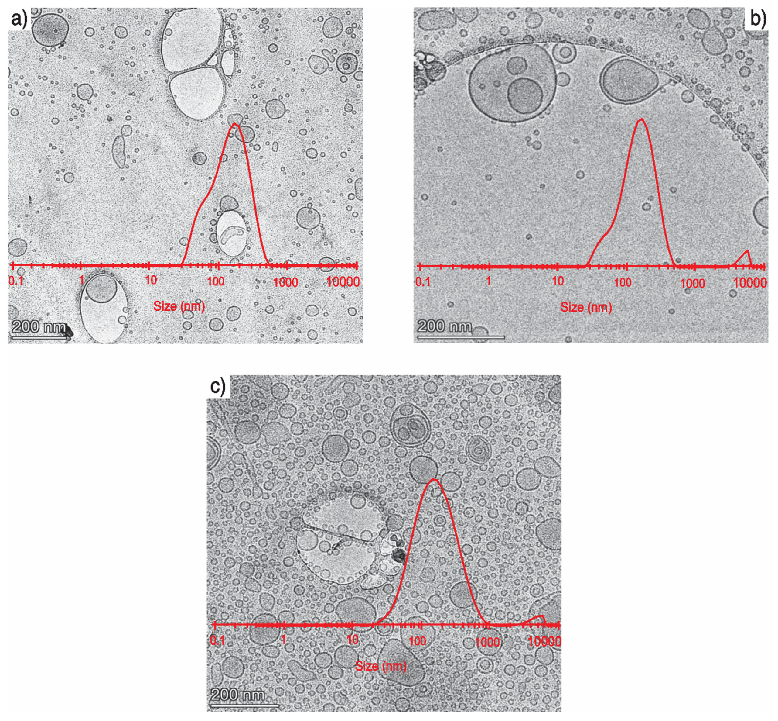 Nanomaterials 11 01960 g006 Nanomaterials 11 01960 g006