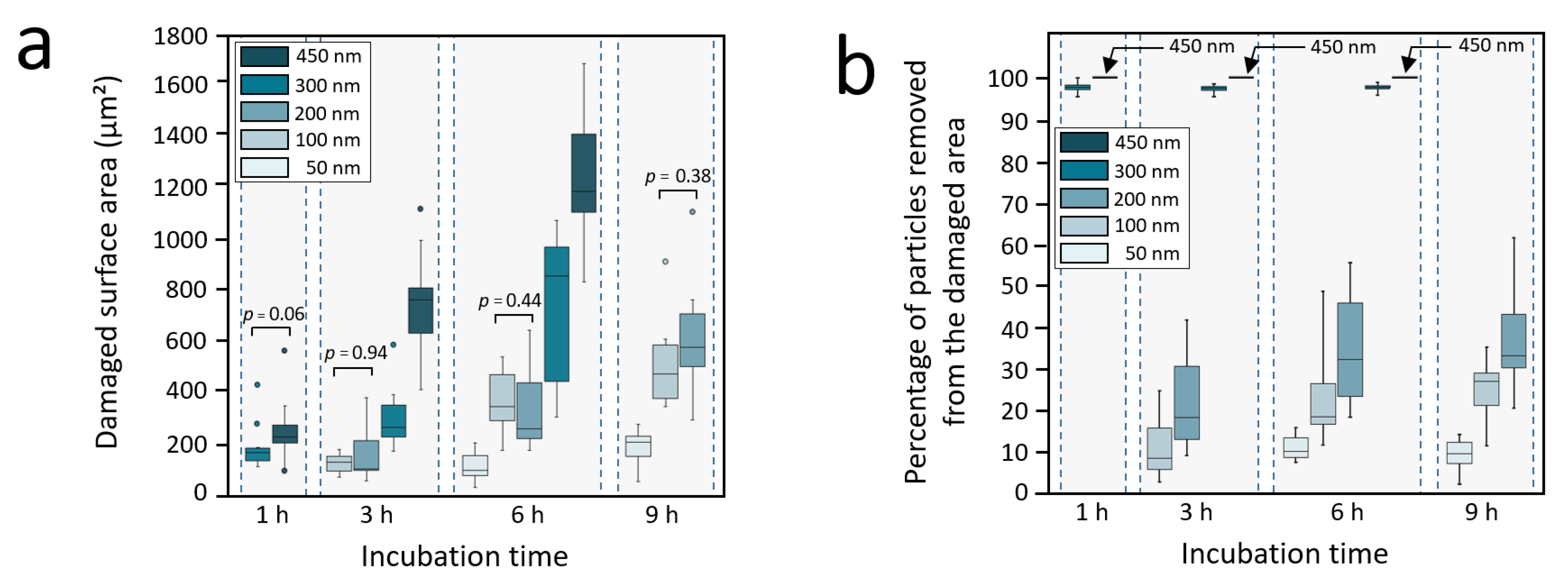 Nanomaterials 11 01963 g005 550