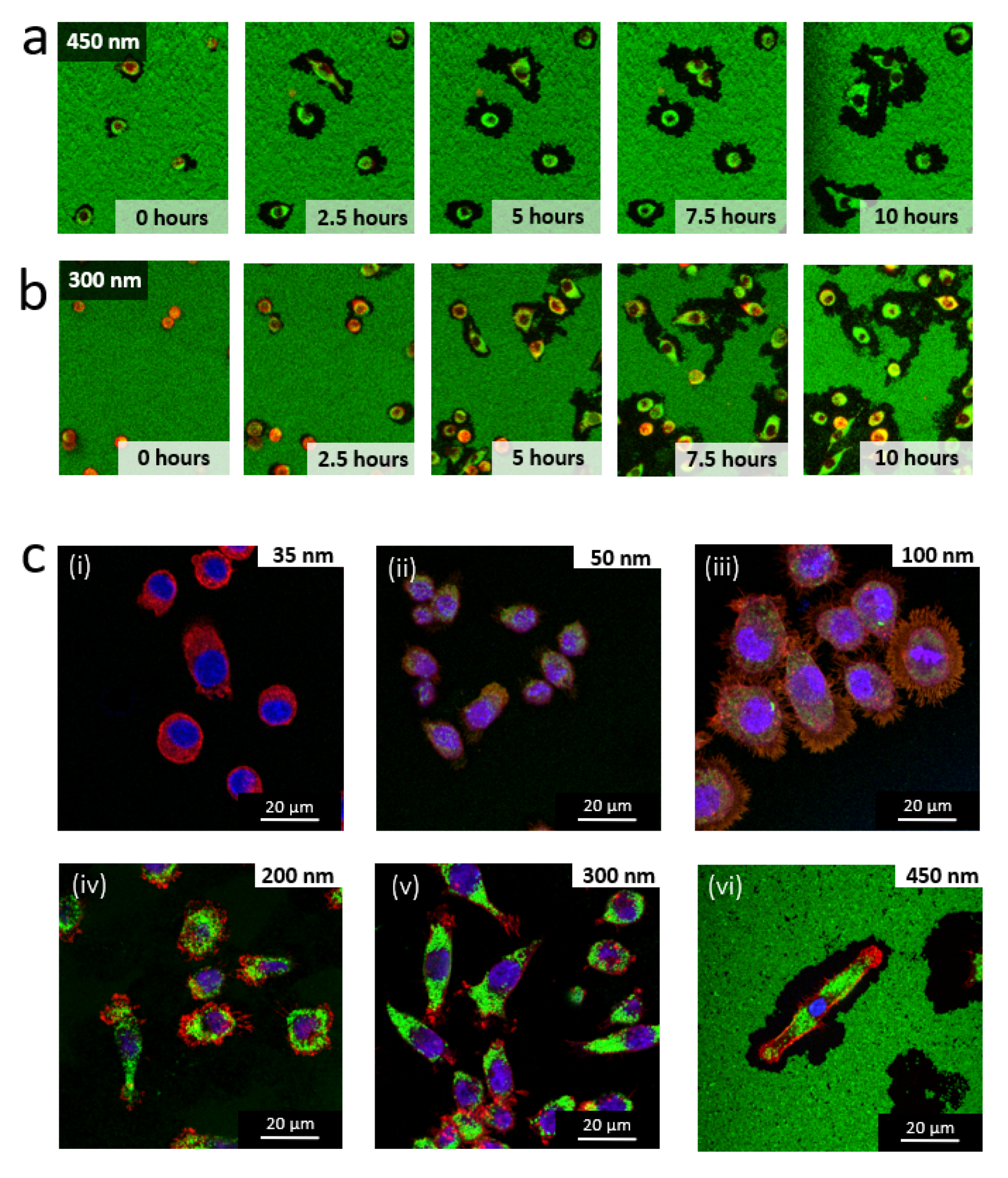 Nanomaterials 11 01963 g006 550