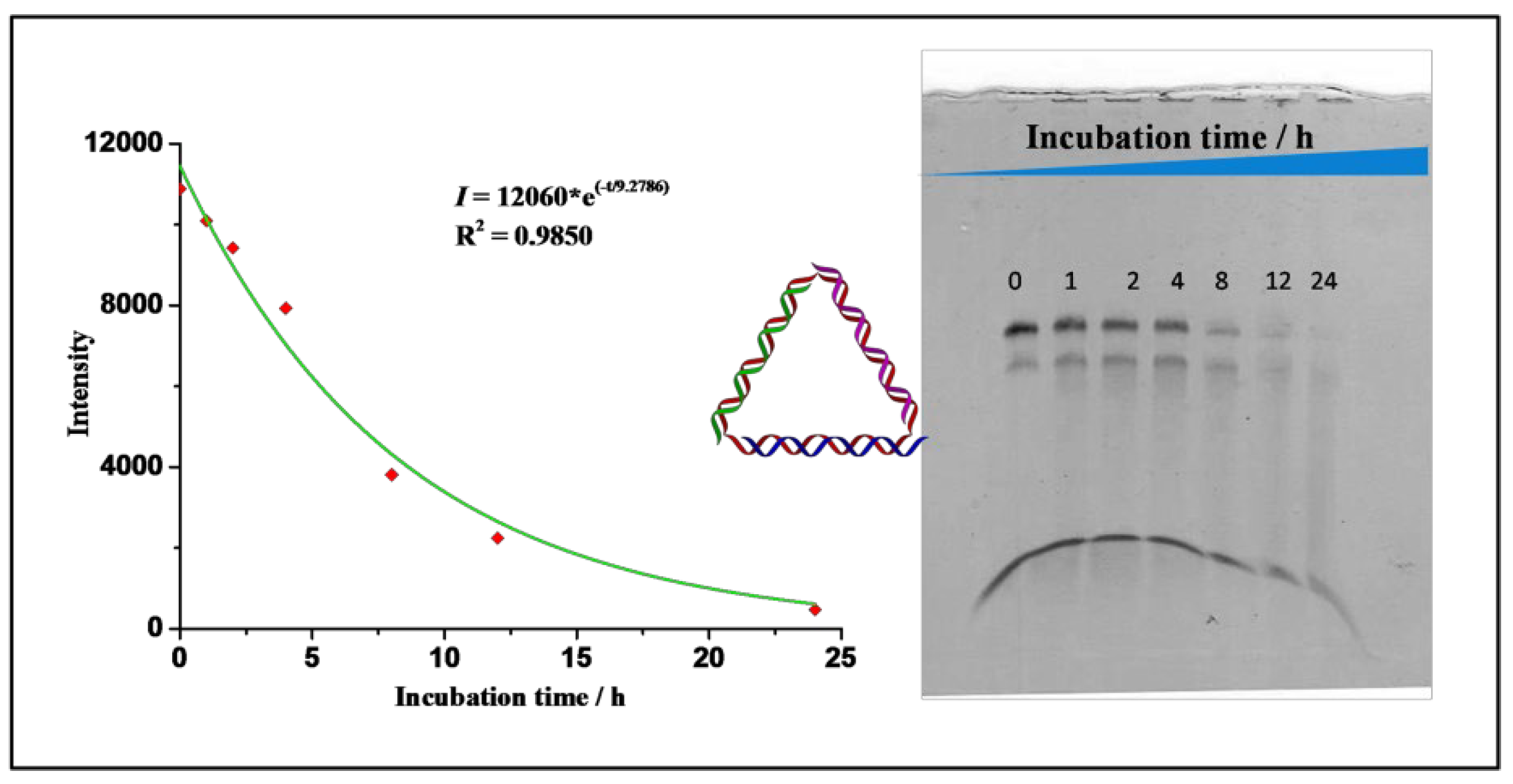 Nanomaterials 11 01967 g006