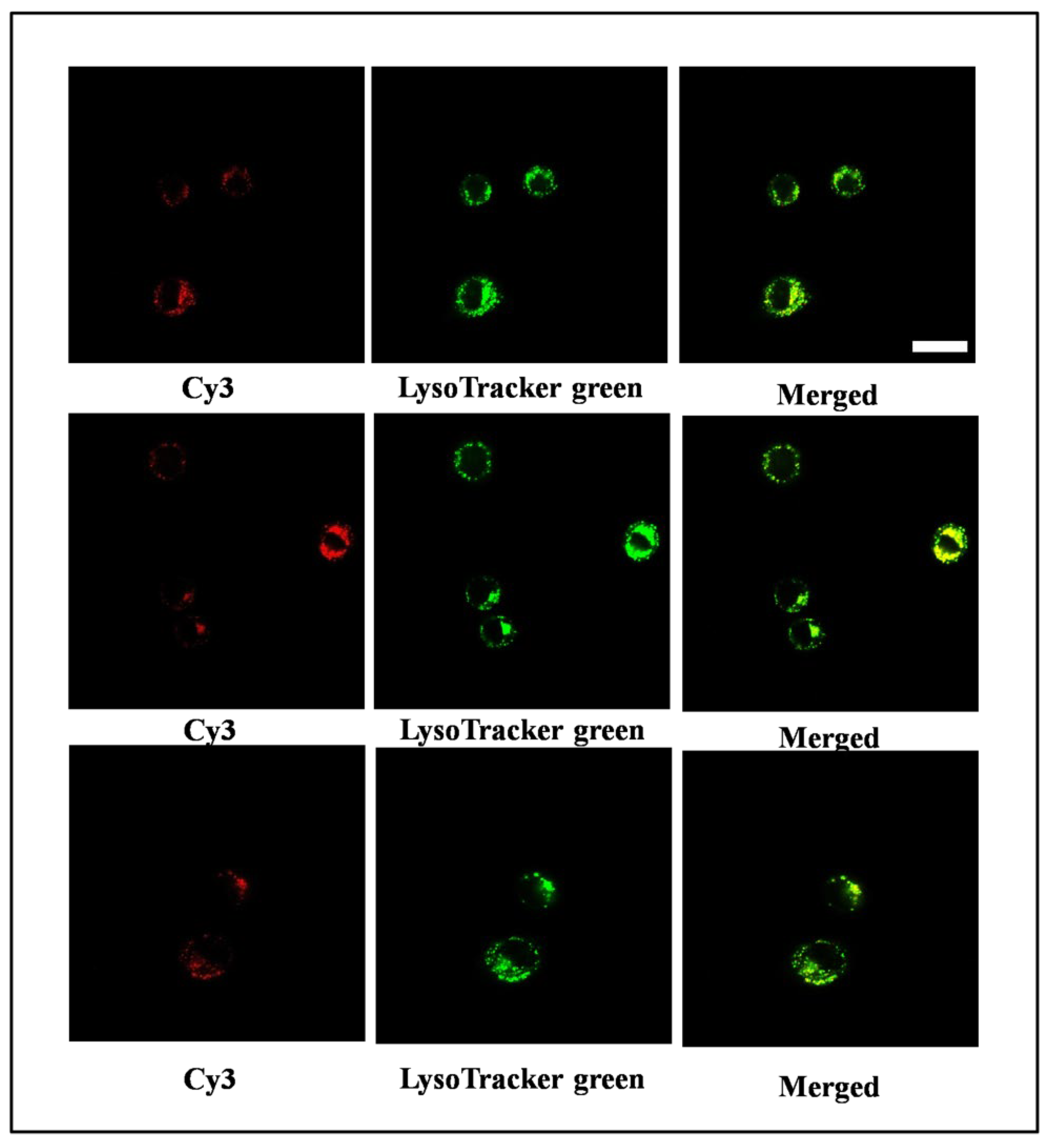 Nanomaterials 11 01967 g007