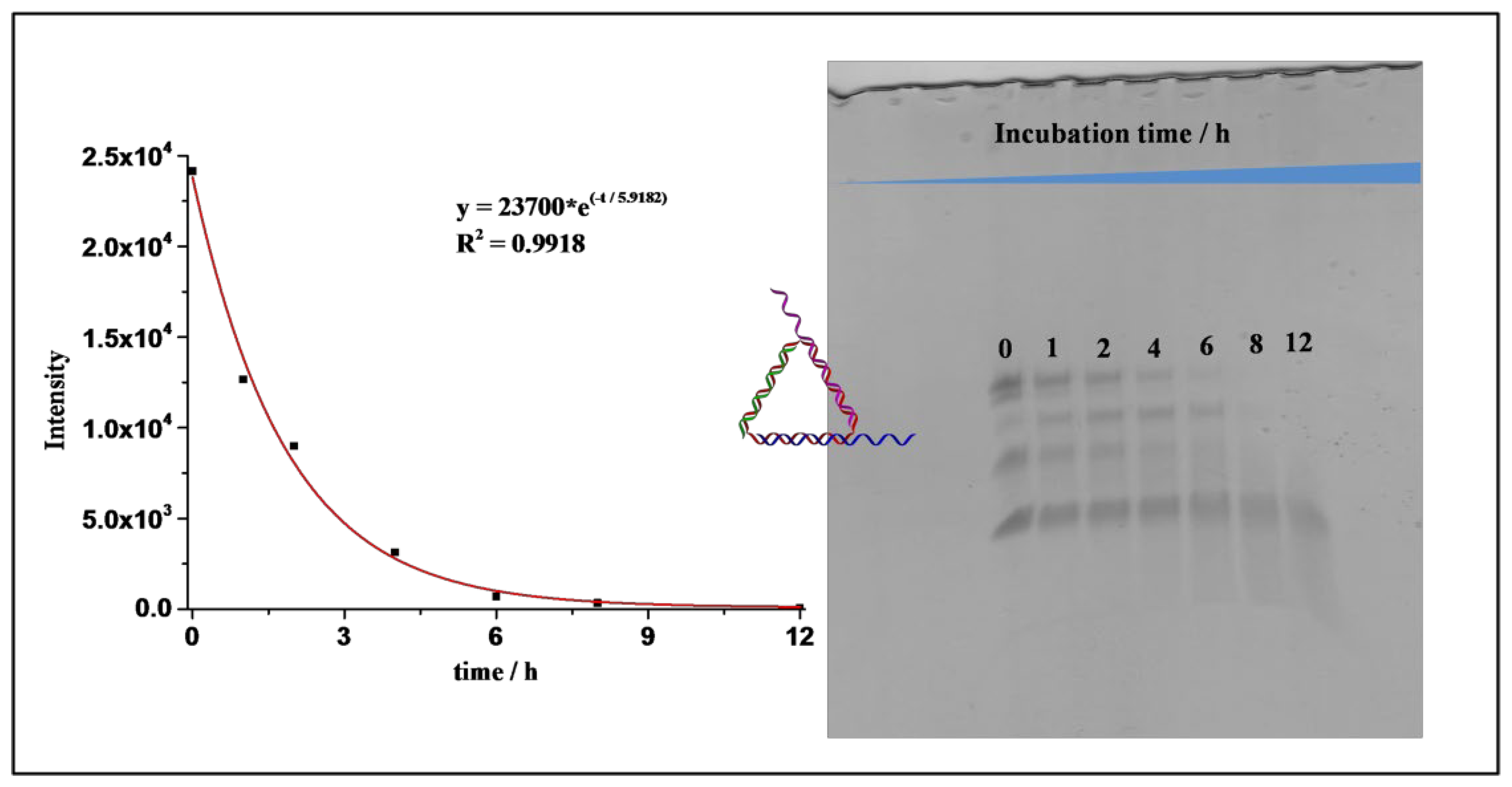Nanomaterials 11 01967 g009