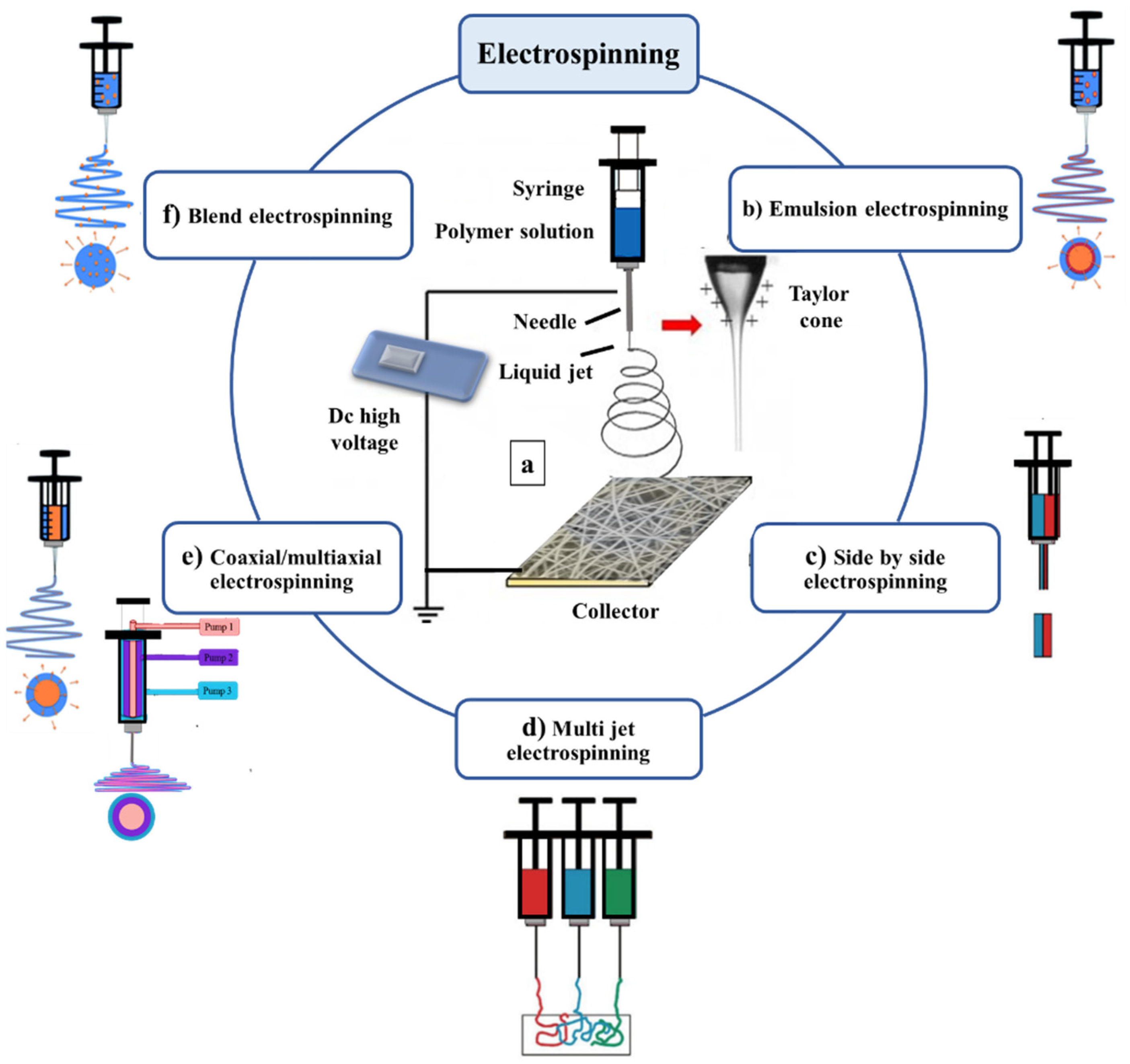 Nanomaterials 11 01968 g002 550