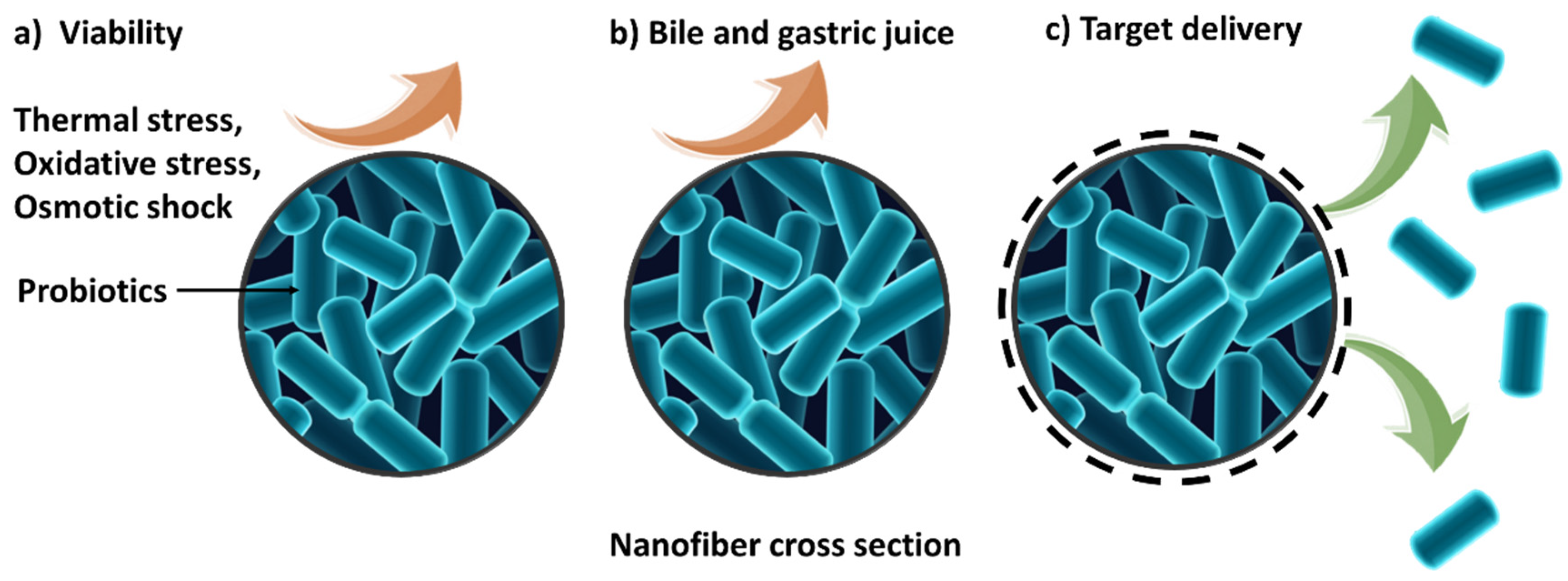 Nanomaterials 11 01968 g004 550