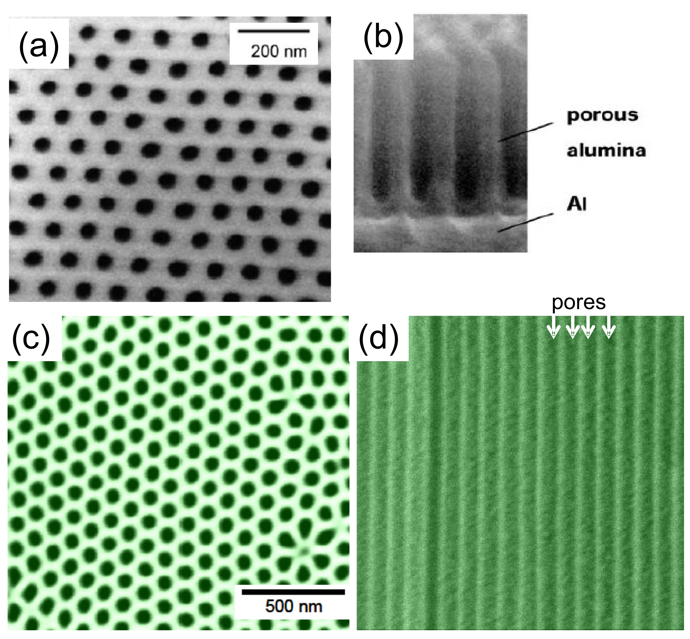 Nanomaterials 11 01970 g001 Nanomaterials 11 01970 g001