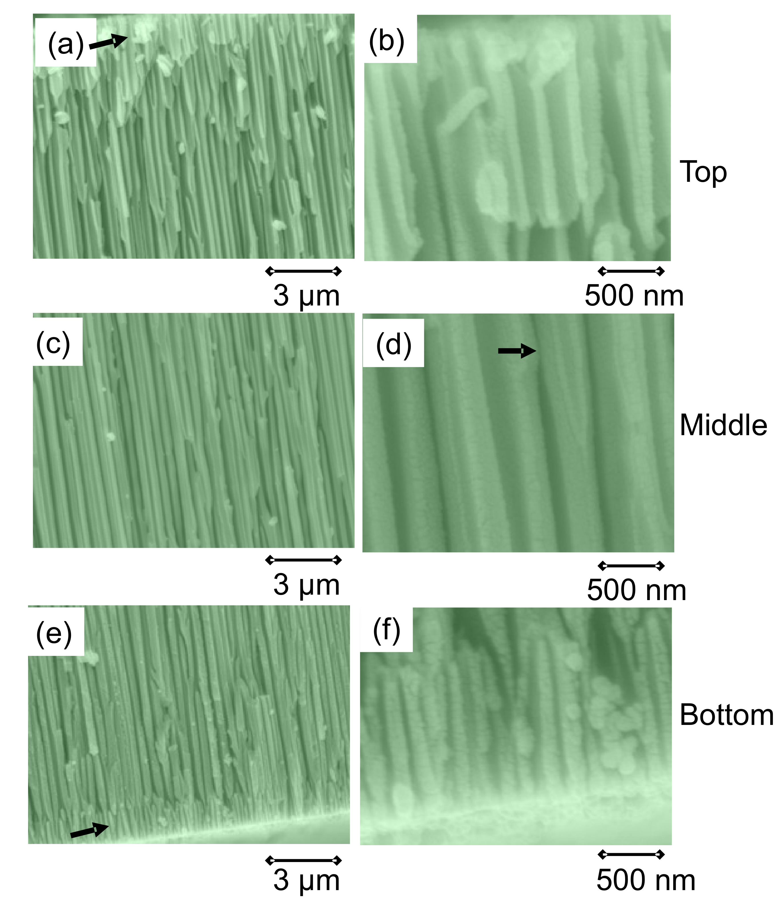 Nanomaterials 11 01970 g007 Nanomaterials 11 01970 g007
