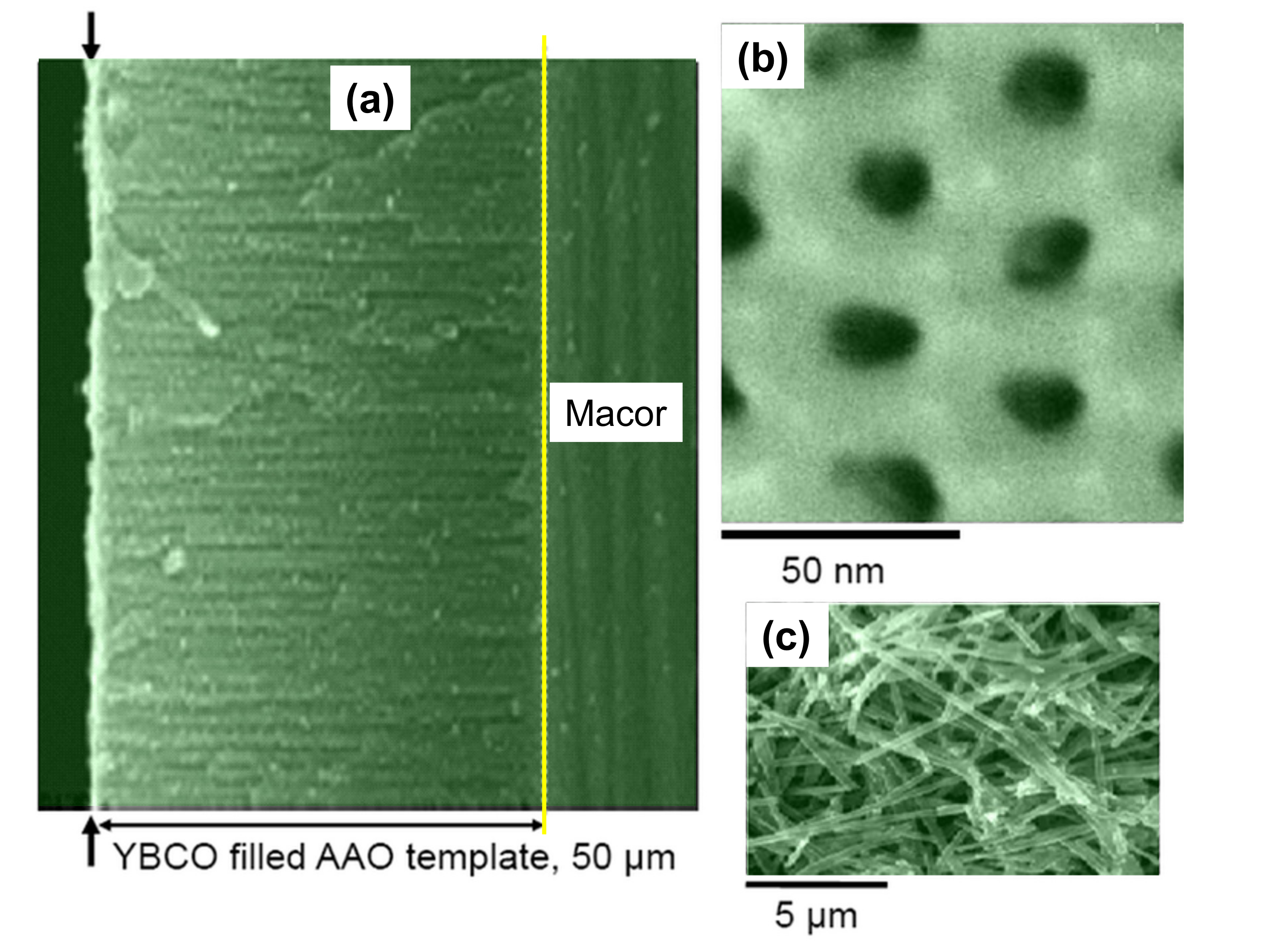 Nanomaterials 11 01970 g008 Nanomaterials 11 01970 g008