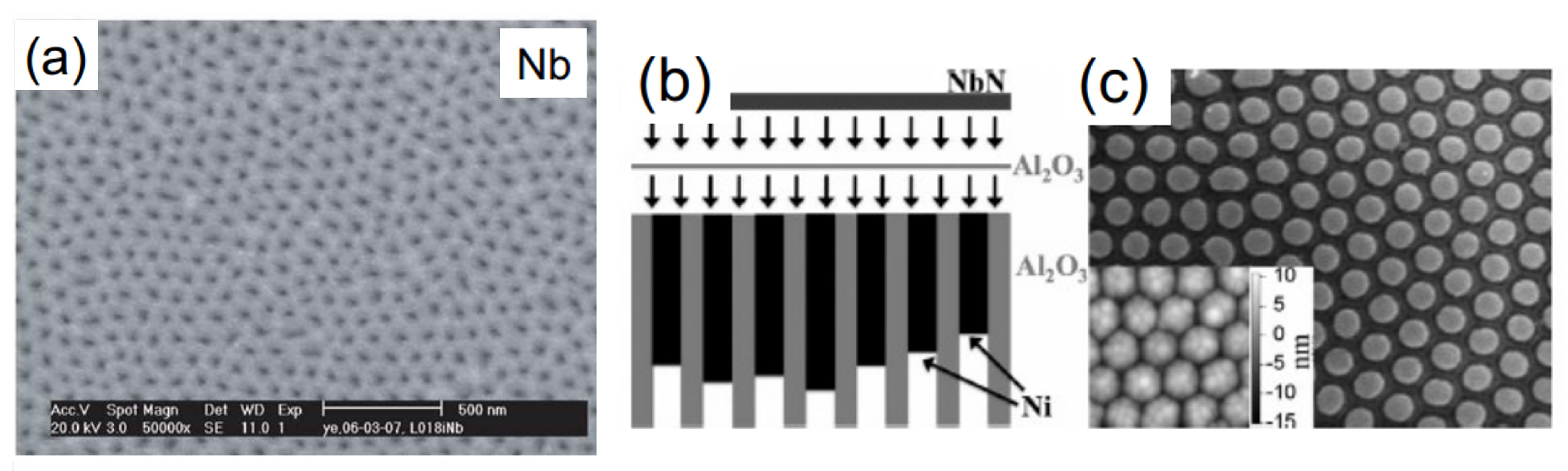 Nanomaterials 11 01970 g010 Nanomaterials 11 01970 g010