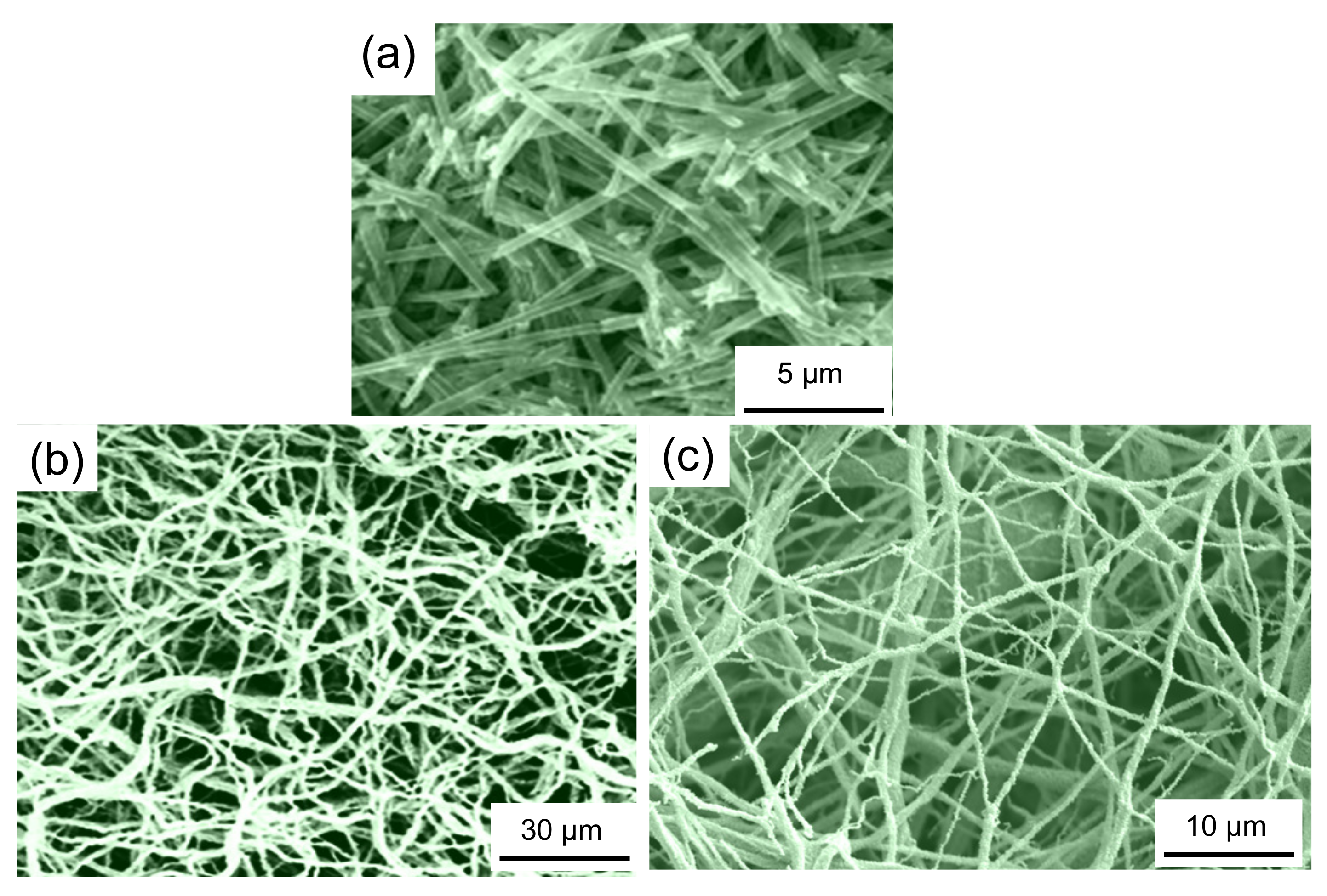 Nanomaterials 11 01970 g012 Nanomaterials 11 01970 g012