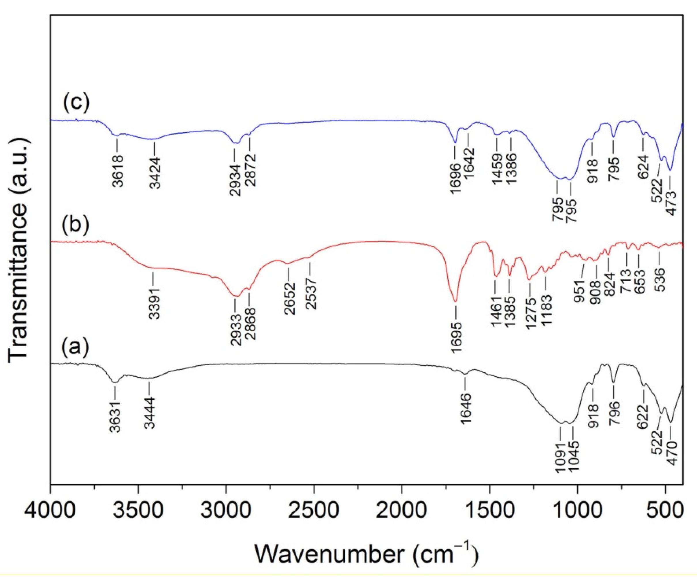 Nanomaterials 11 01974 g002