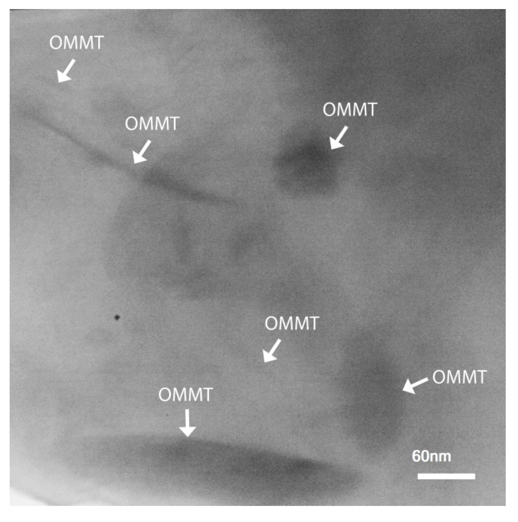 Nanomaterials 11 01974 g006