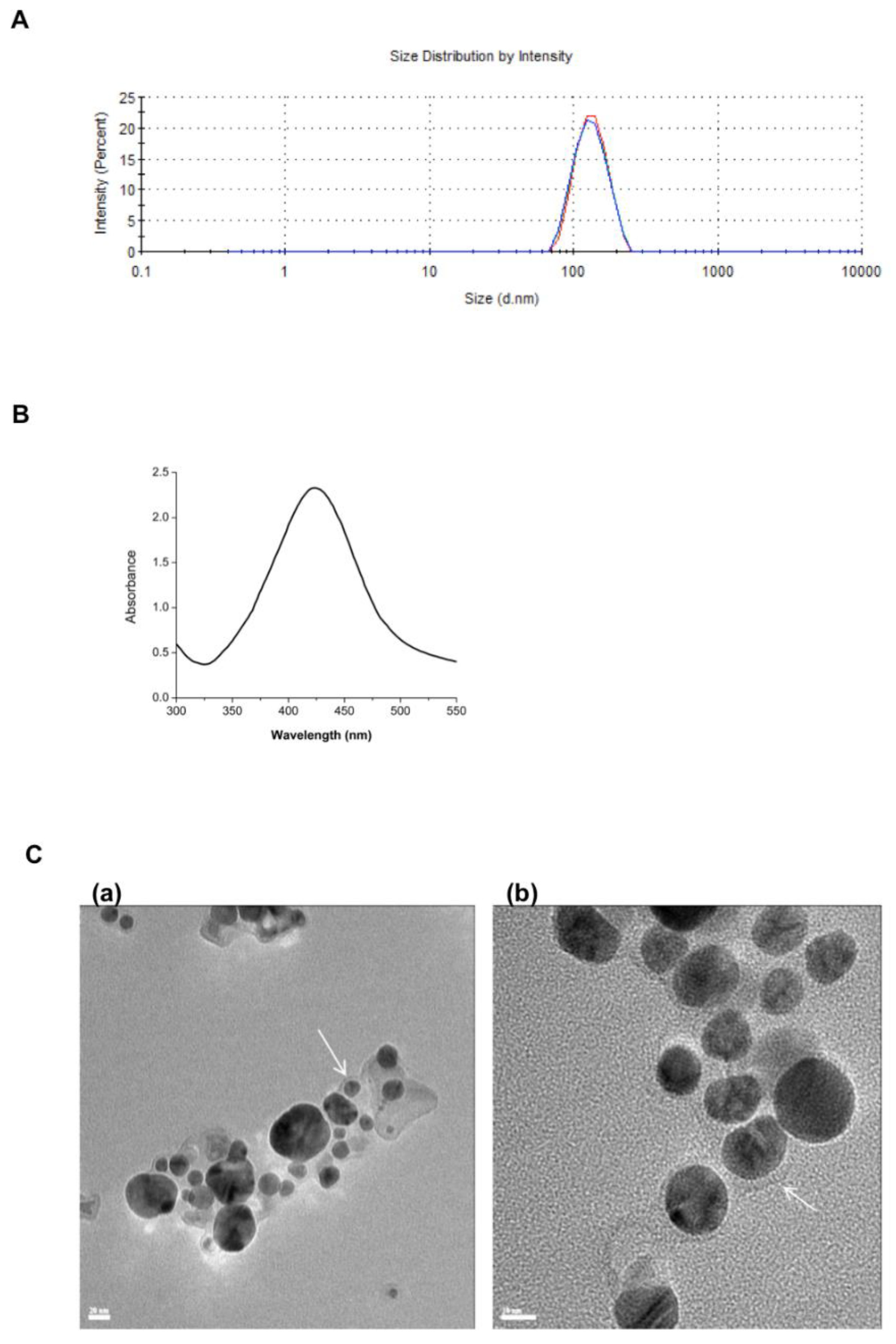 Nanomaterials 11 01984 g001