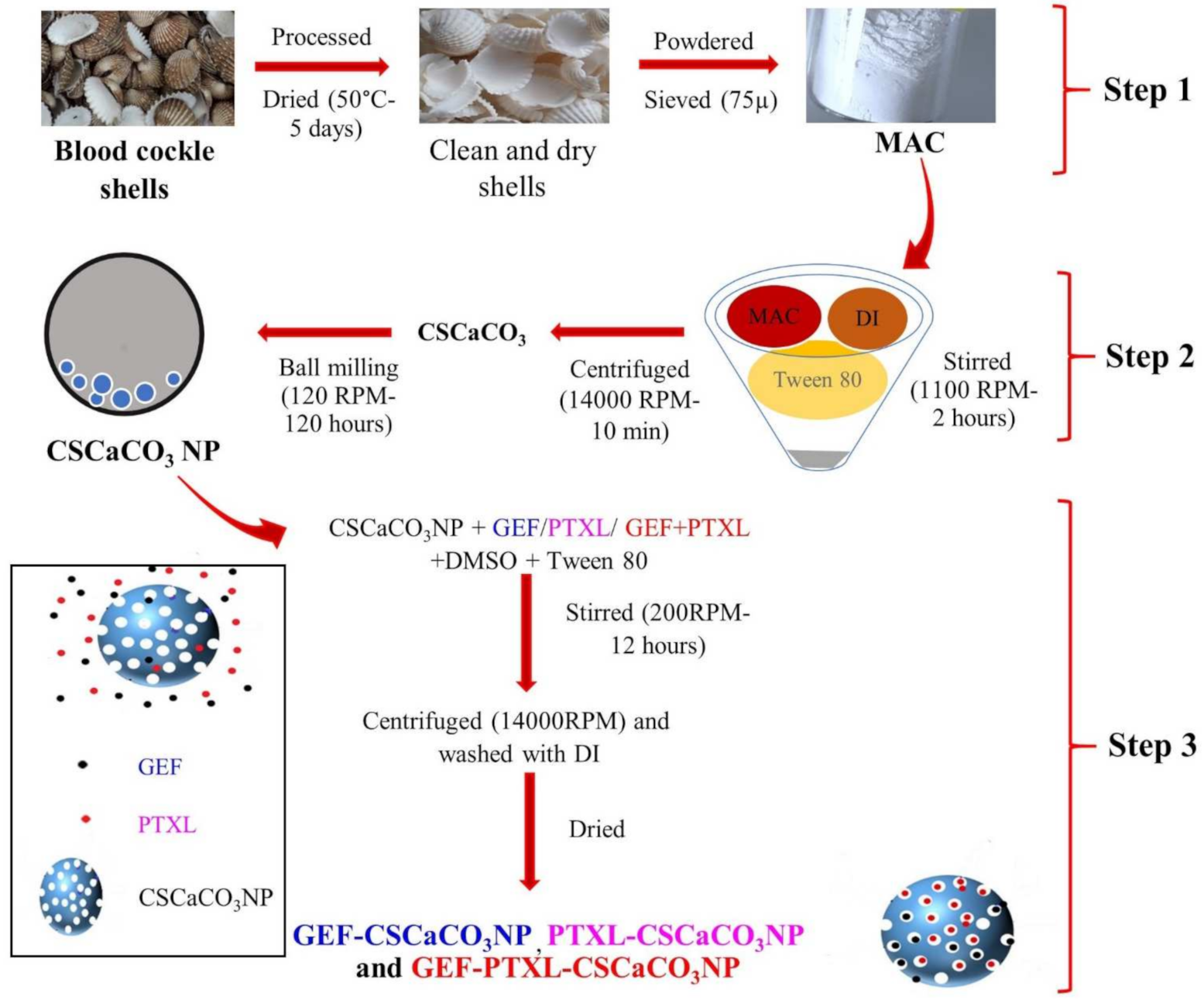 Nanomaterials 11 01988 g001 Nanomaterials 11 01988 g001
