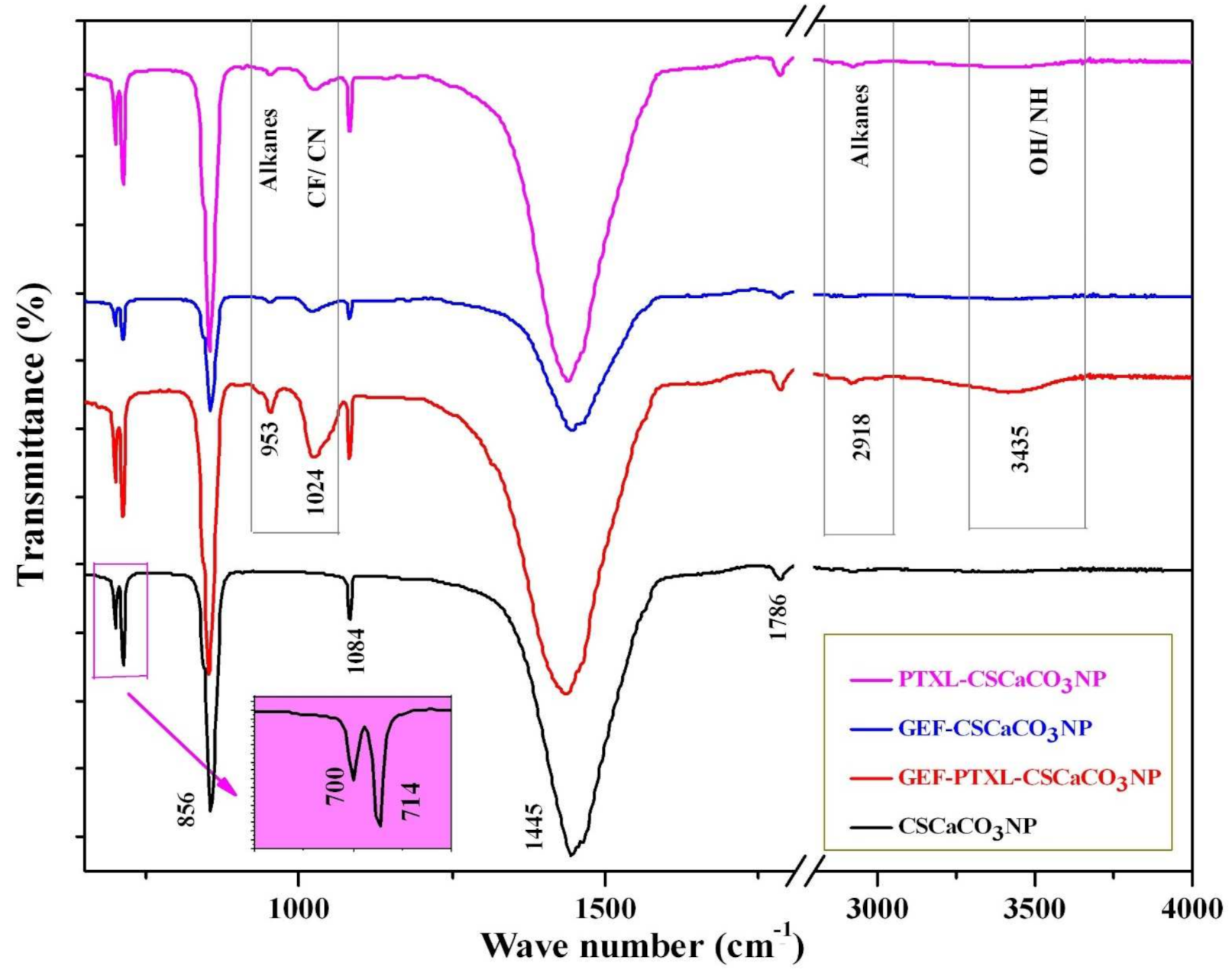 Nanomaterials 11 01988 g005 Nanomaterials 11 01988 g005