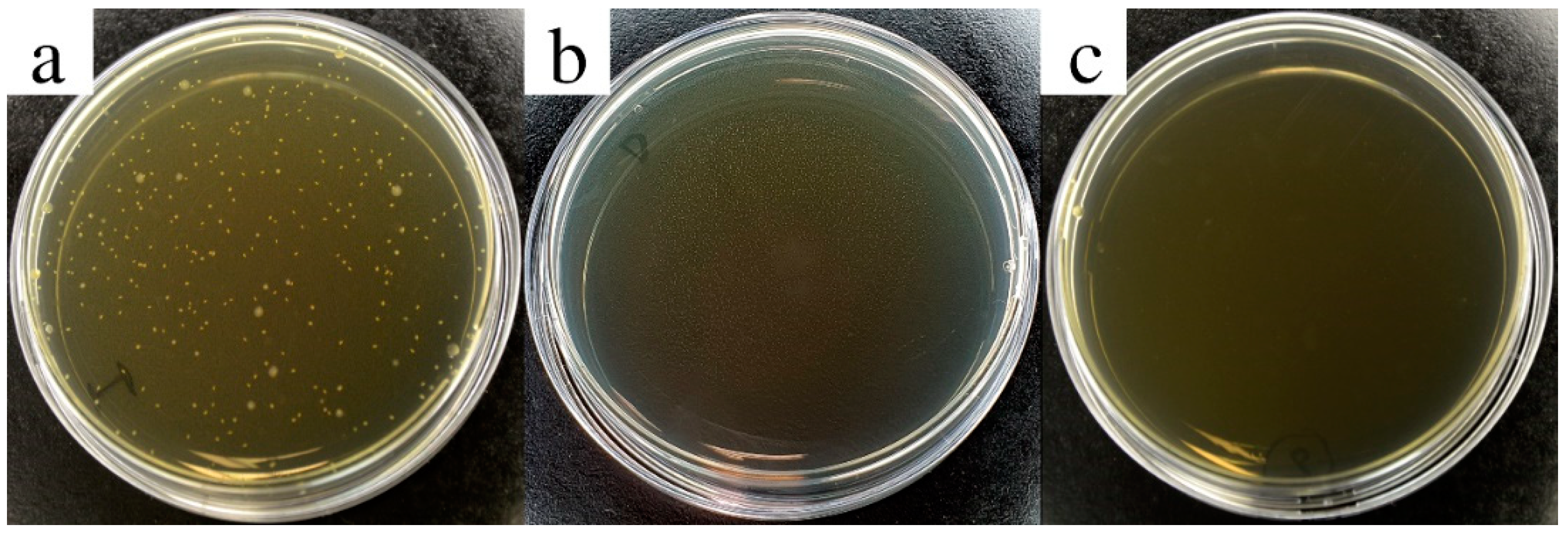 Nanomaterials 11 01991 g003