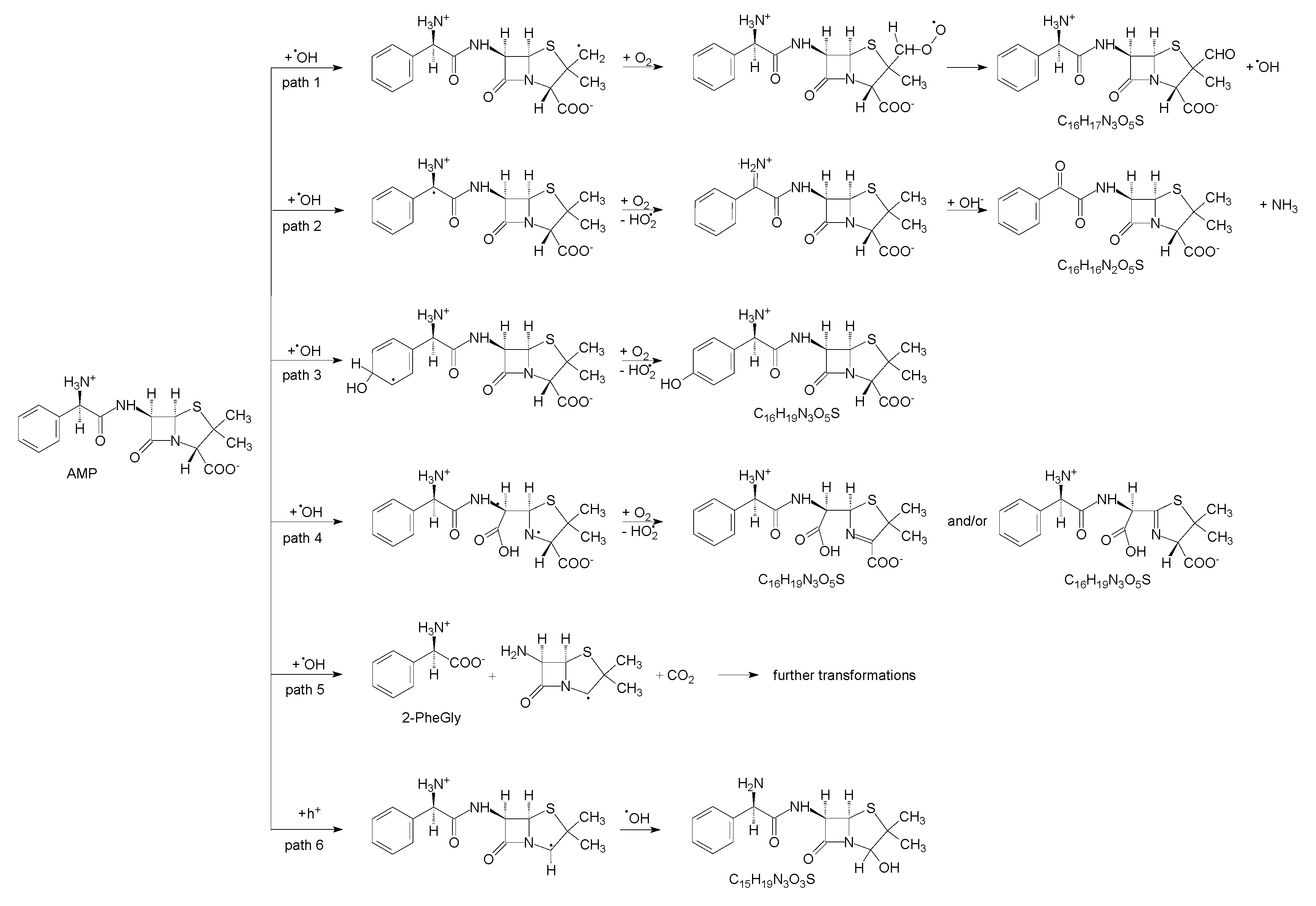 Nanomaterials 11 01992 g006