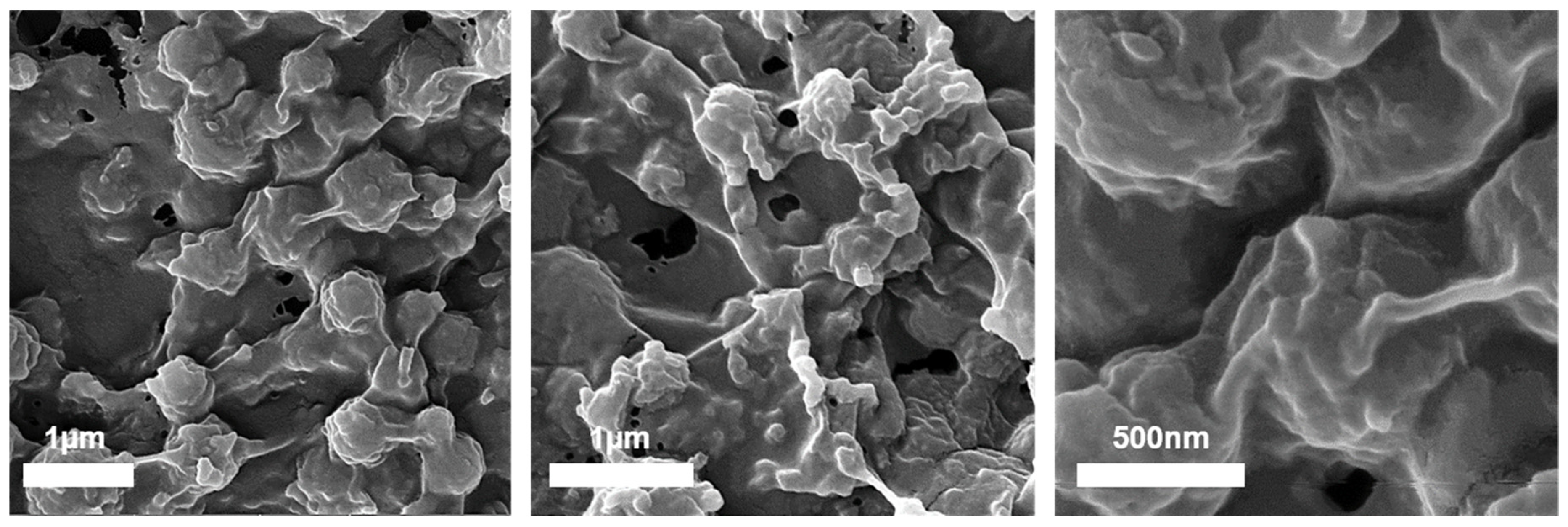Nanomaterials 11 01993 g010