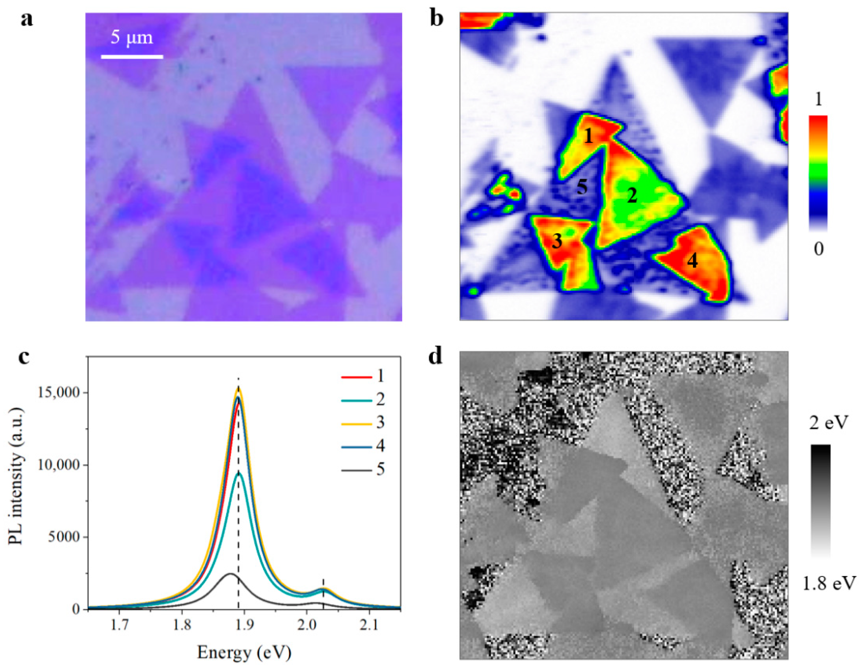 Nanomaterials 11 01994 g005