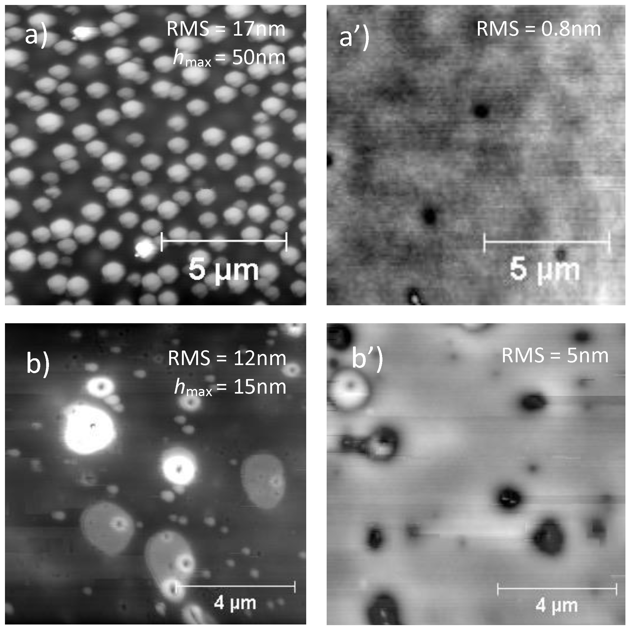 Nanomaterials 11 01996 g005 550
