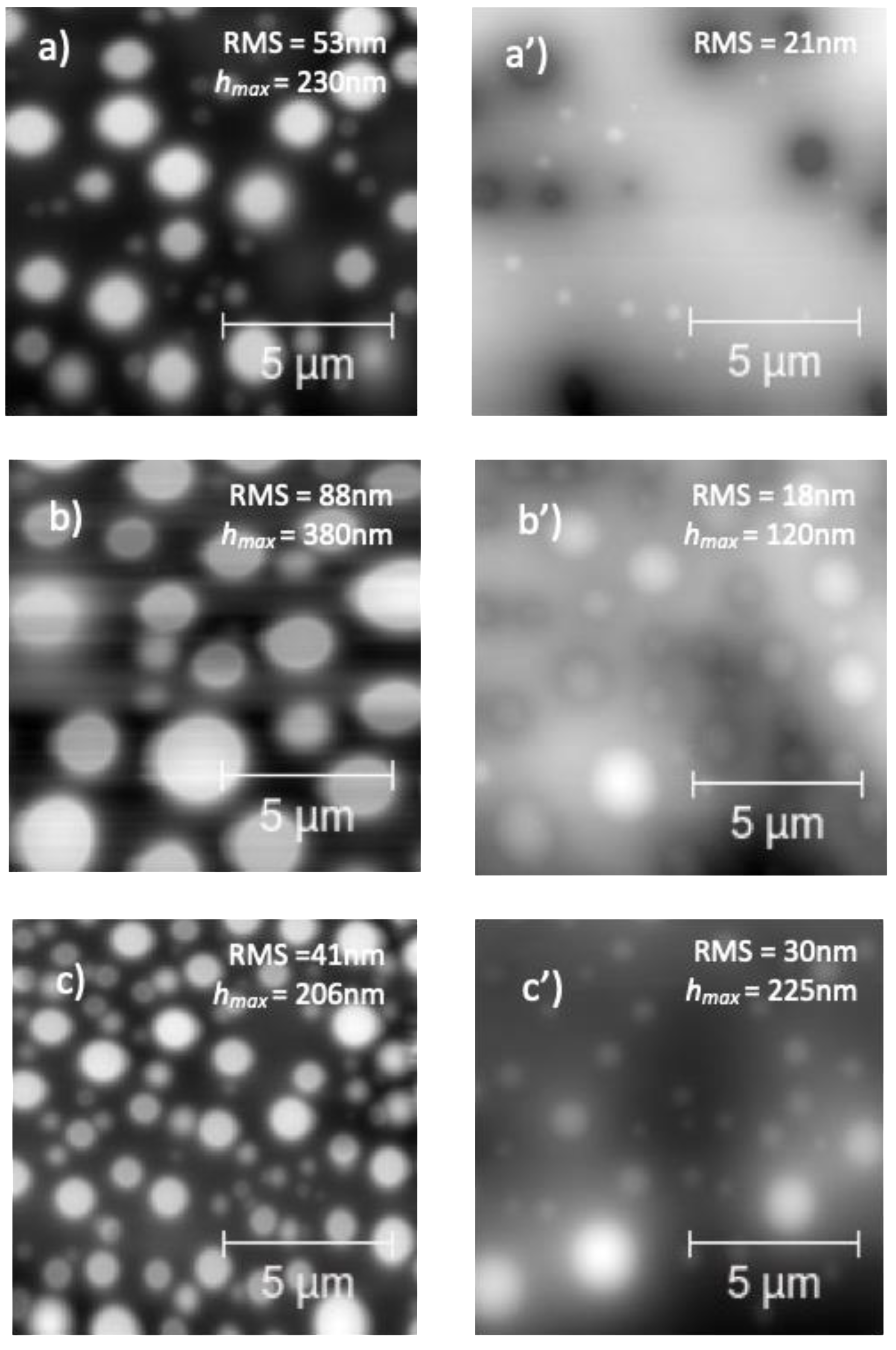 Nanomaterials | Free Full-Text | Dispersion of Few-Layer Black 