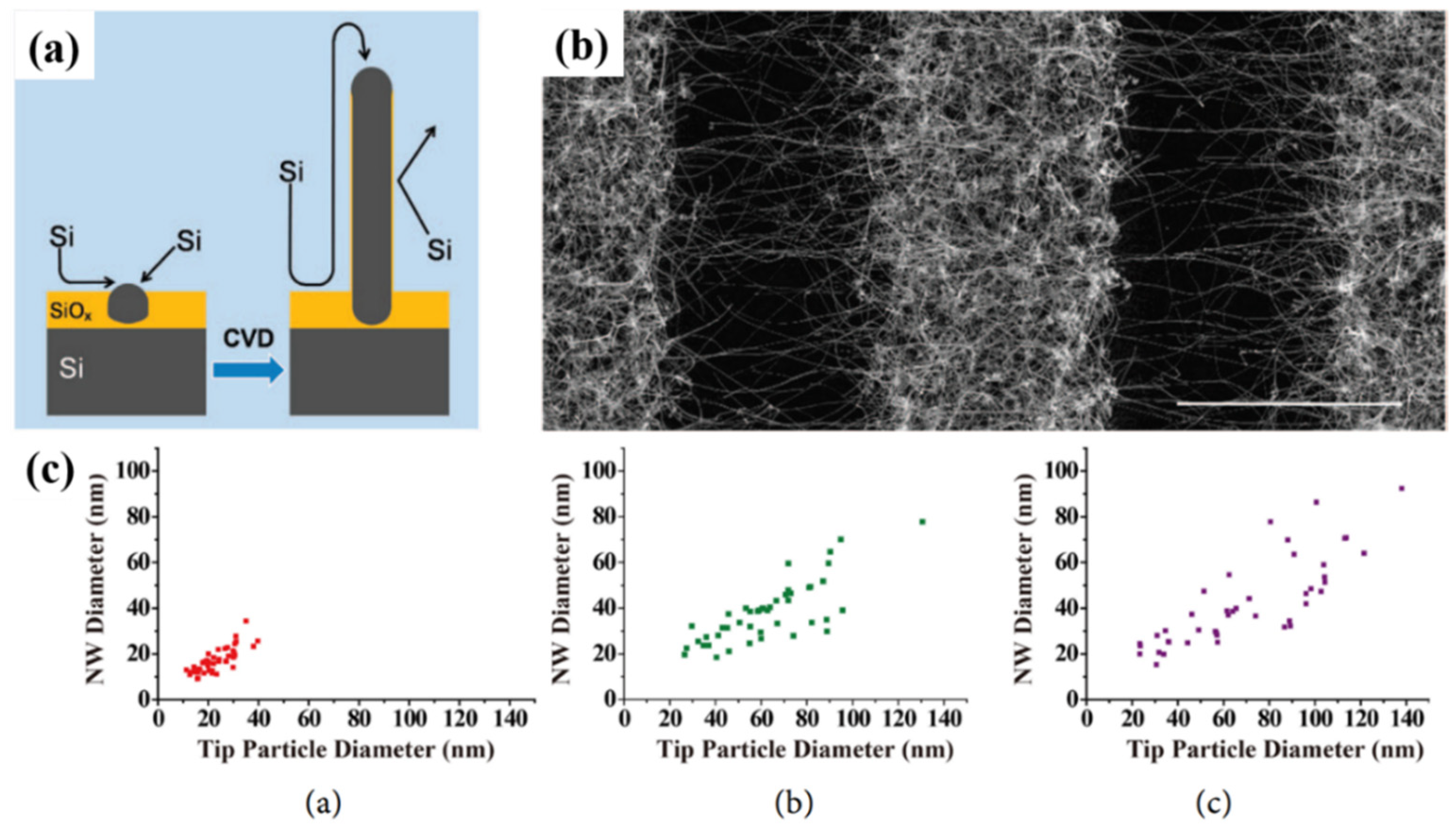 Nanomaterials 11 02002 g008 Nanomaterials 11 02002 g008