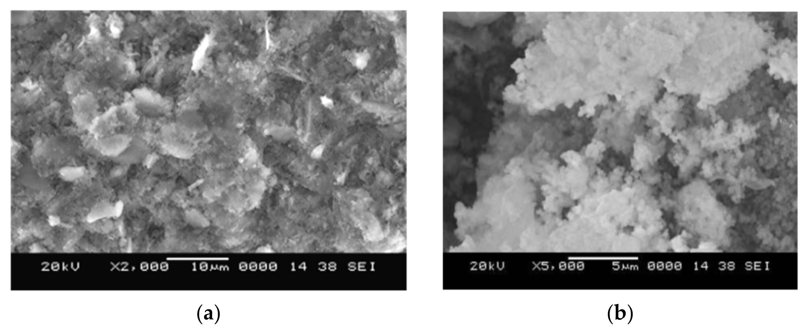Nanomaterials 11 02007 g006