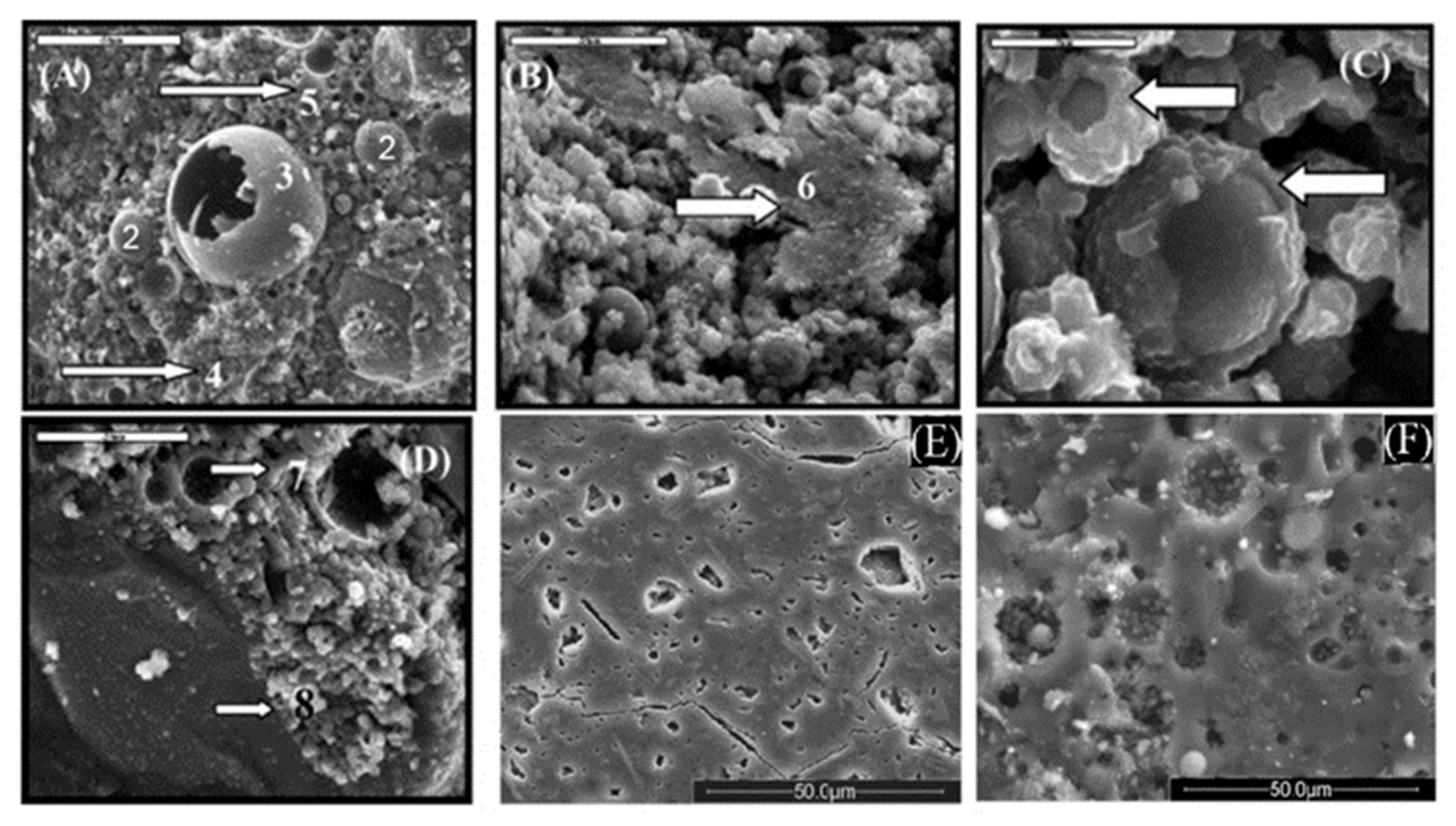 Nanomaterials 11 02007 g007