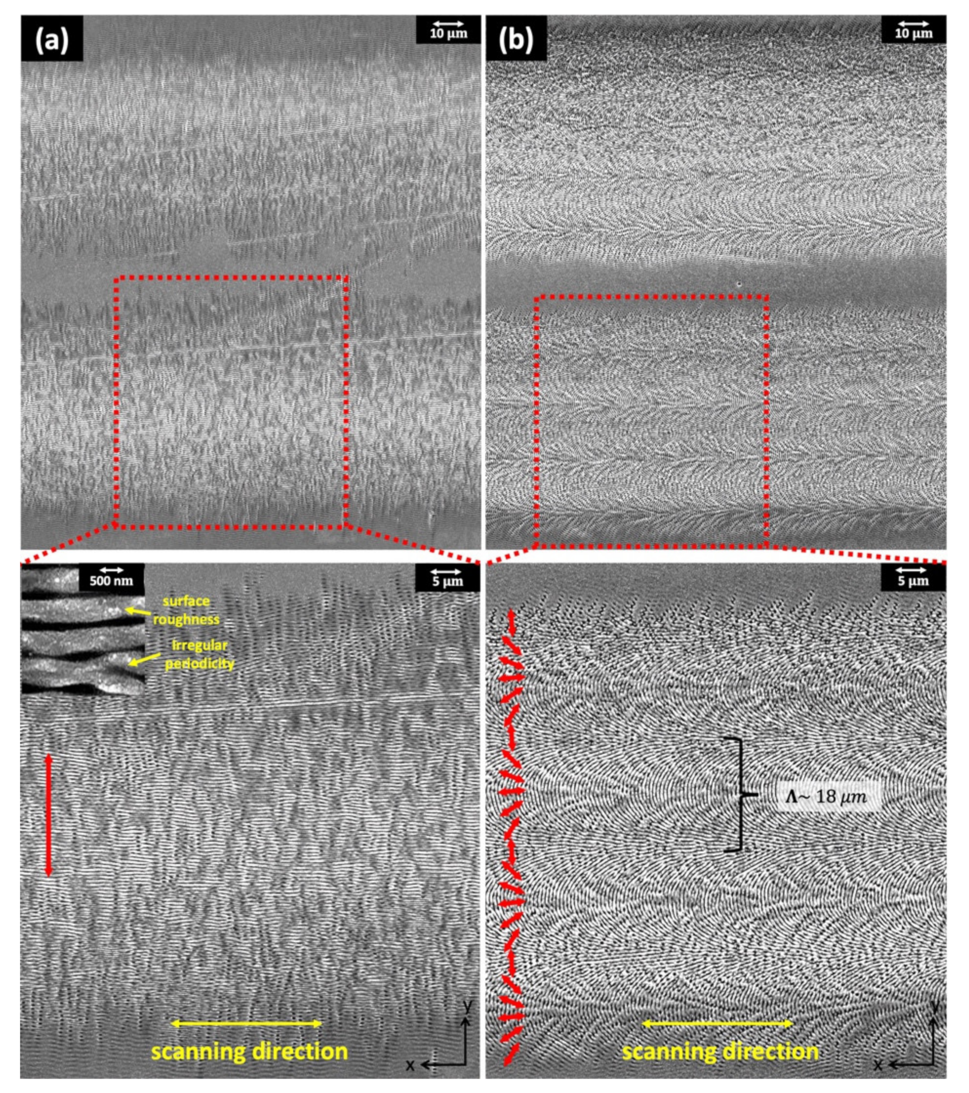 Nanomaterials 11 02010 g003 550
